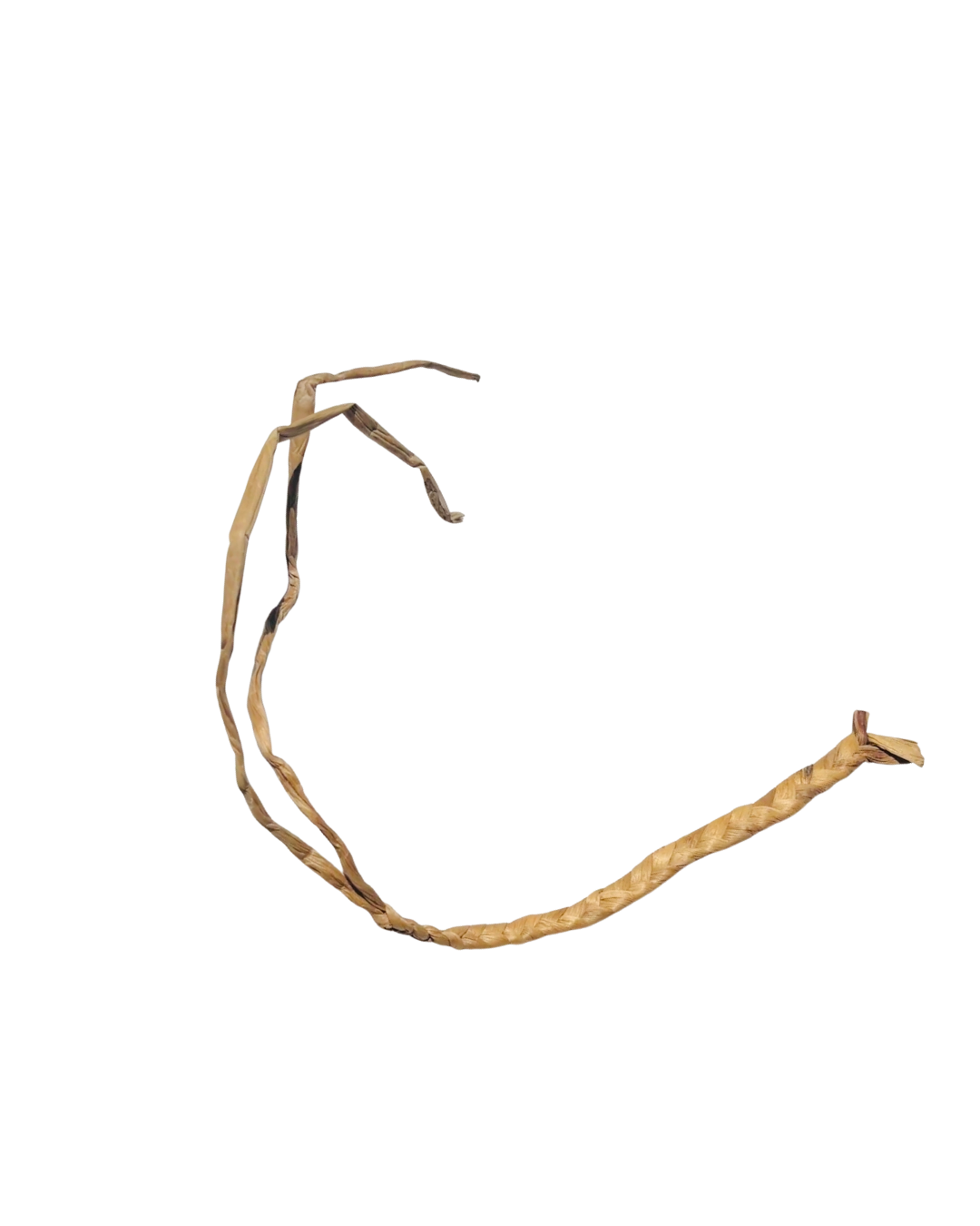 Long Plait 