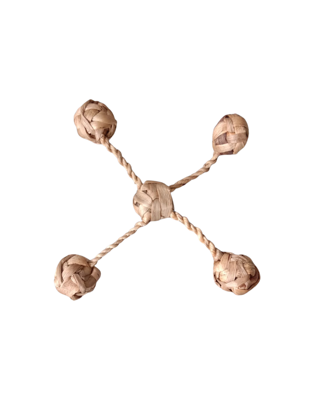 Squid ball 
