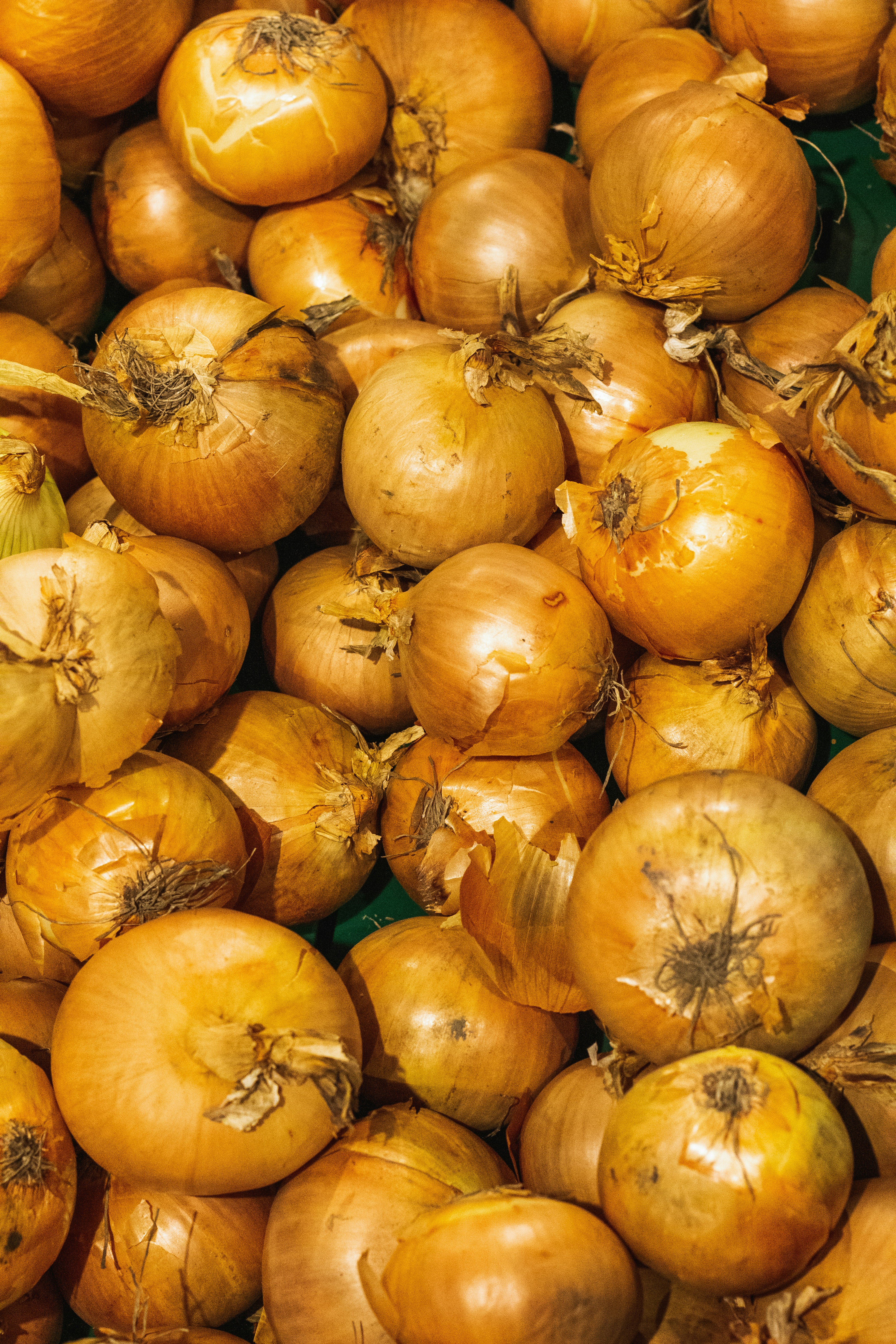 Onions