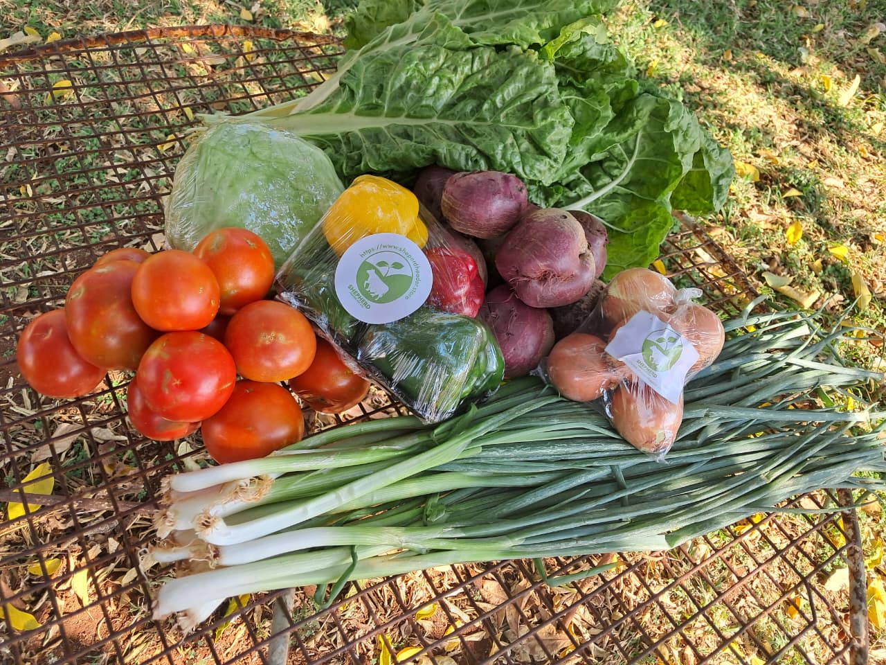 Essential Harvest Box