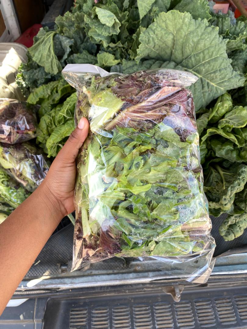 Mixed Salad Lettuce