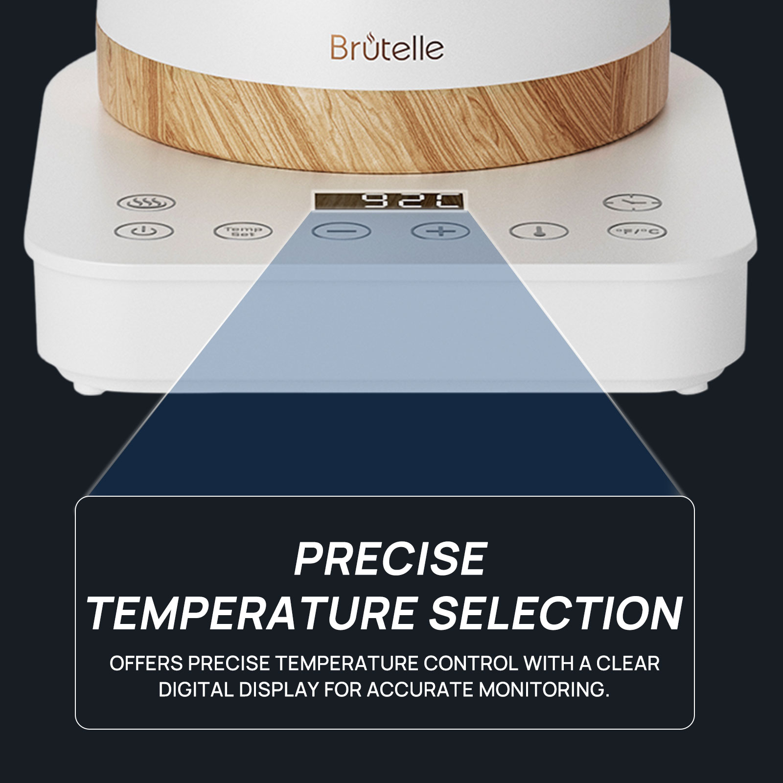 Electric Gooseneck Pour Over Kettle