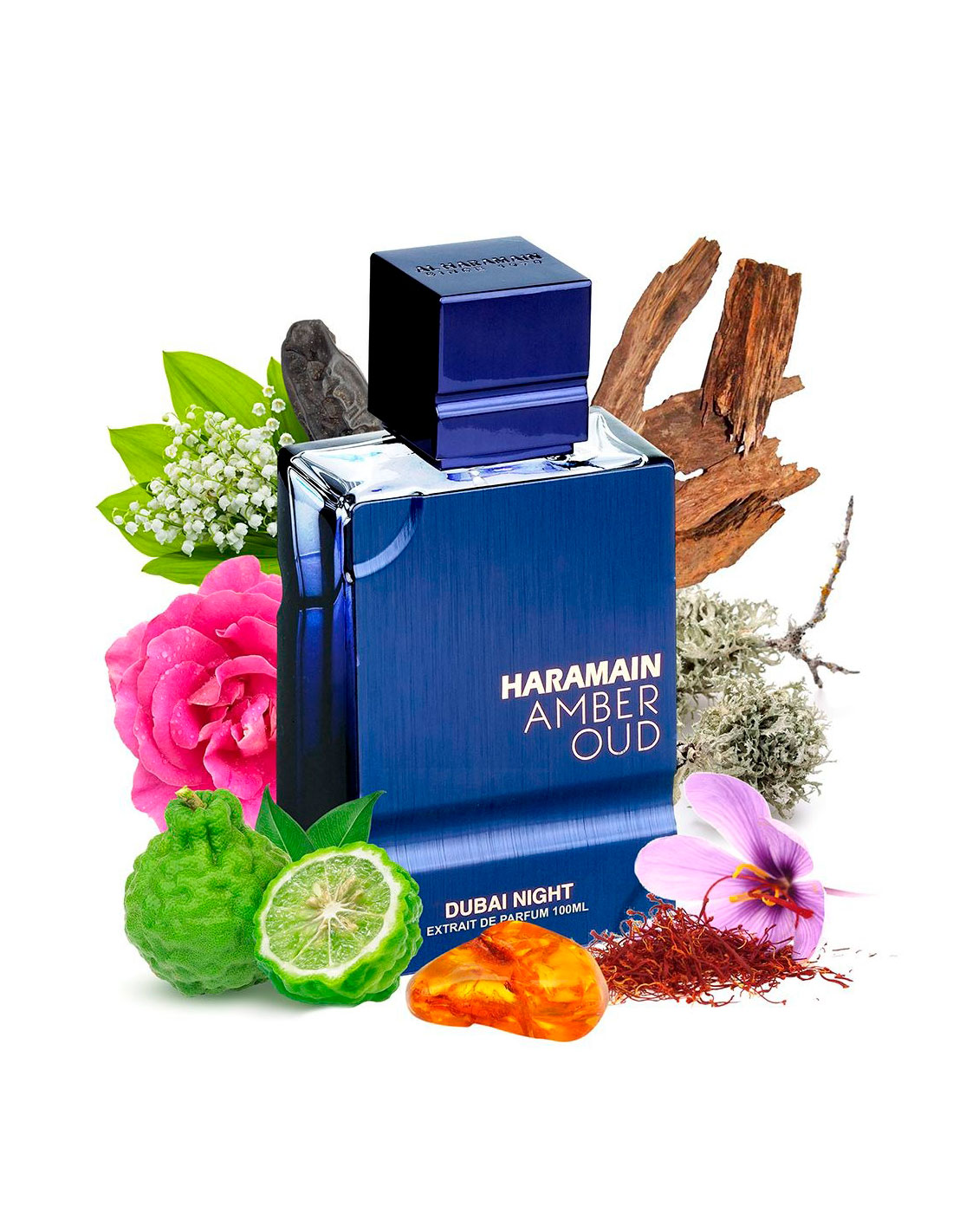 Amber Oud Dubai Night EDP Al Haramain