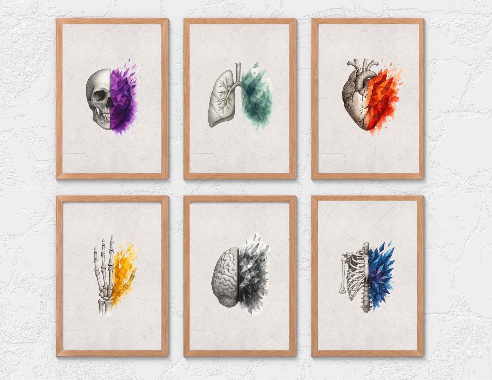 Anatomy Art Print Set of 6: Fragmented Medical Wall Art, Rainbow Palette