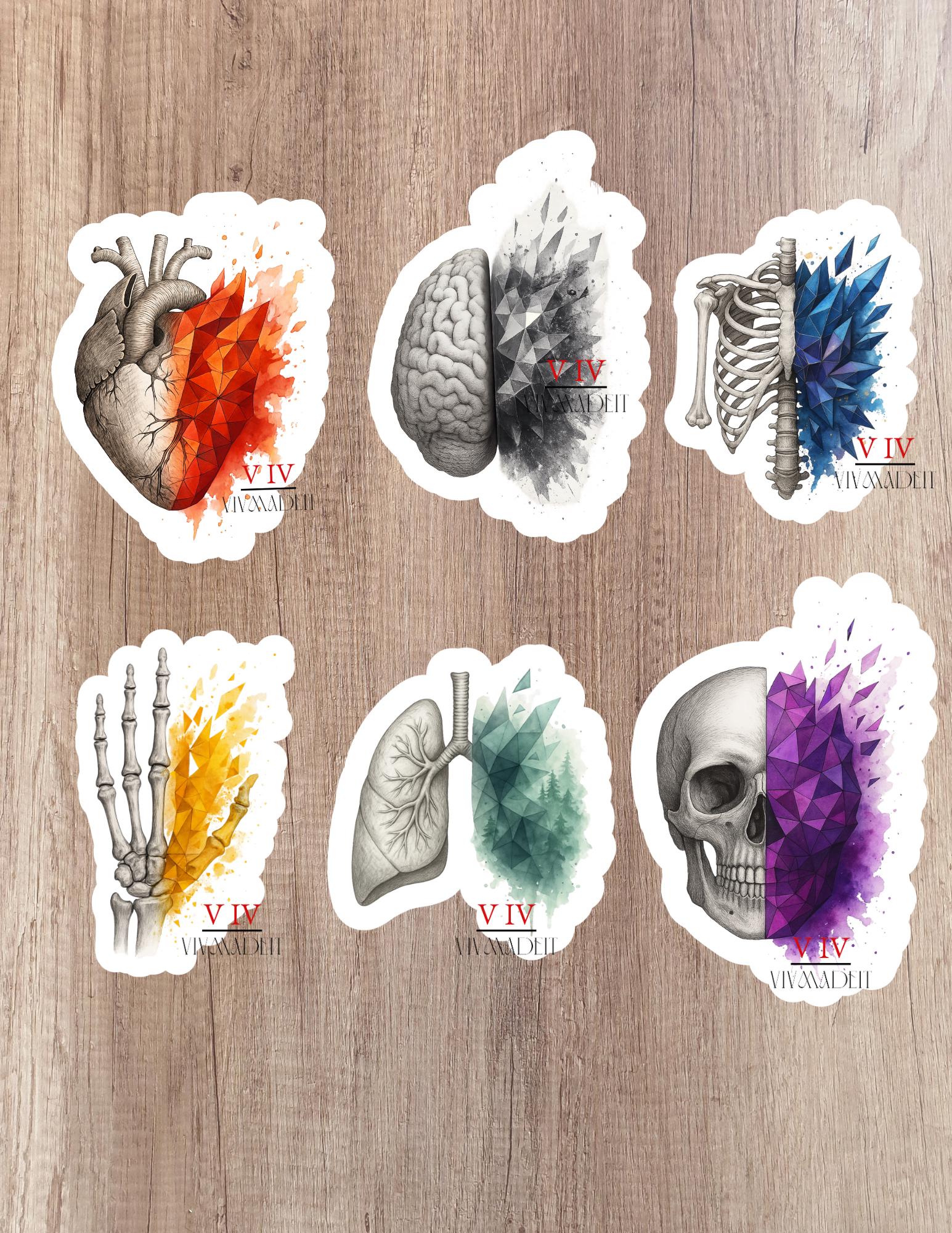Abstract Anatomy Sticker Pack: Gothic Medical Vinyl Decals