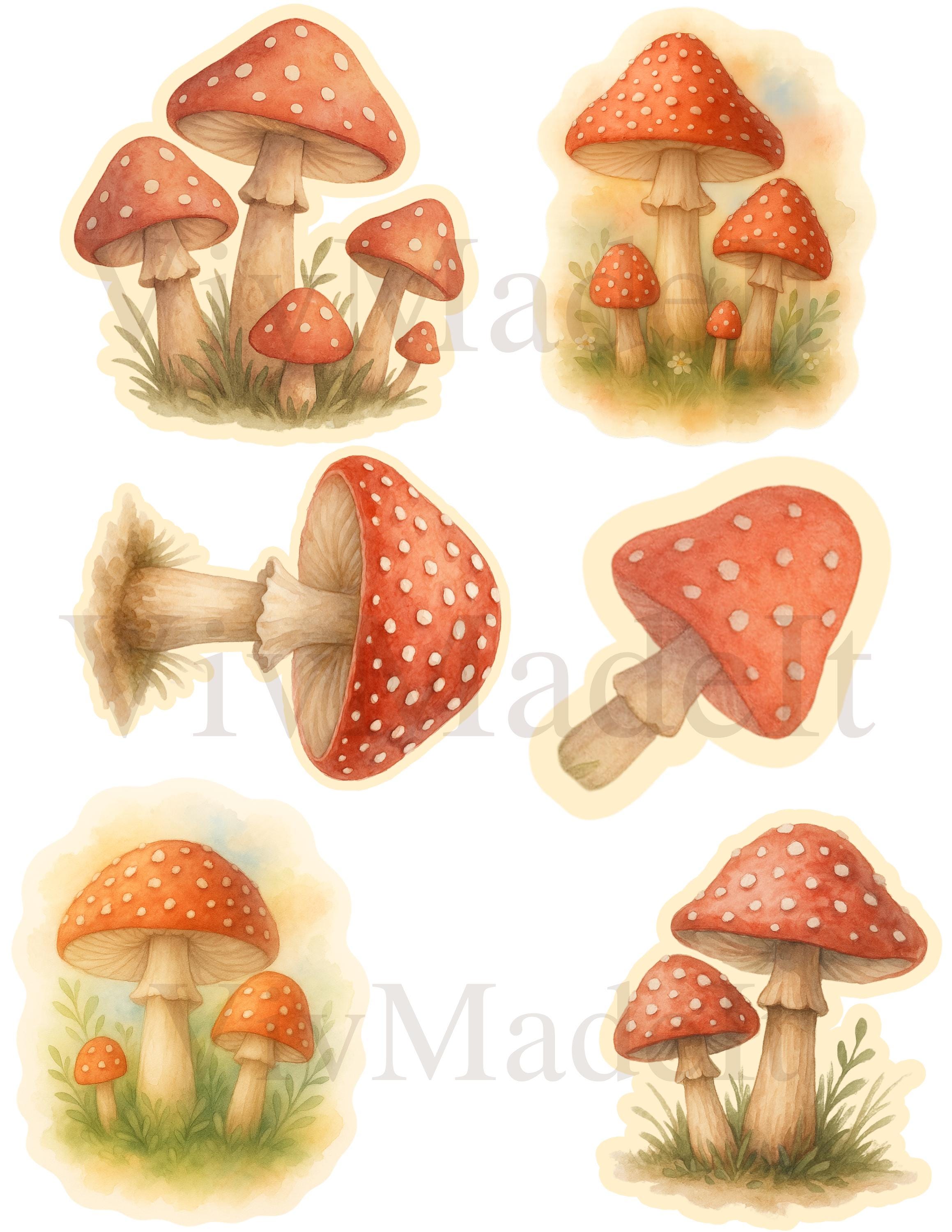 Fly Agaric Mushroom Sticker Set: Watercolor Fungi Vinyl Decals (3x4 in)