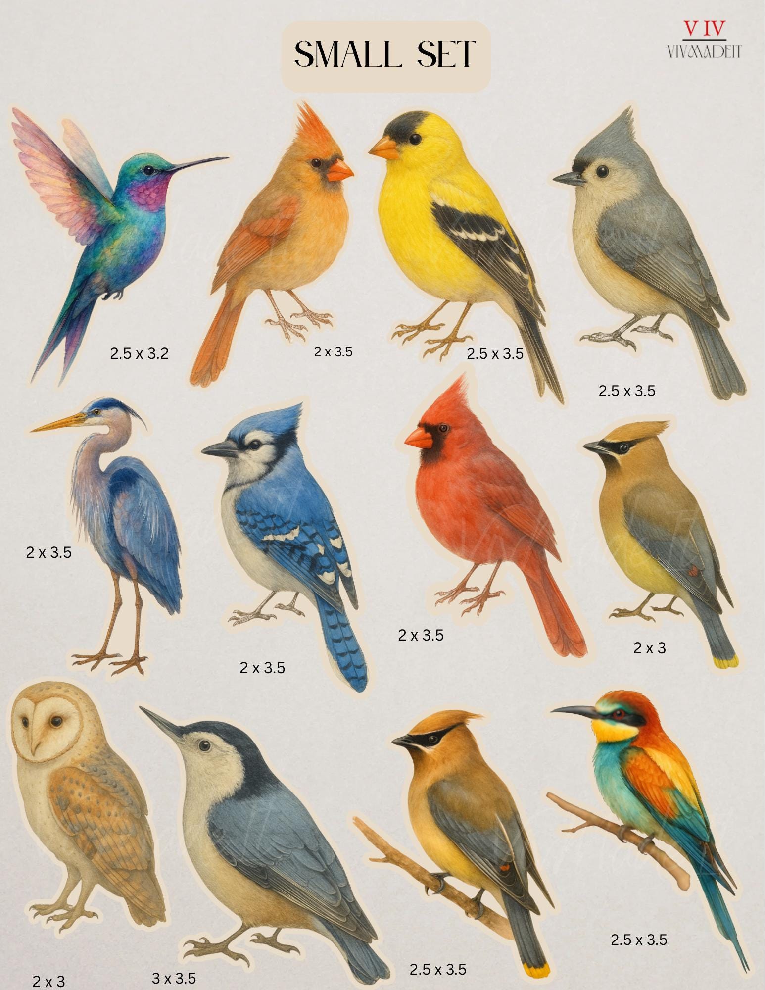 Birdwatchers Sticker Set – 12 Watercolor Birds | Medium or Large