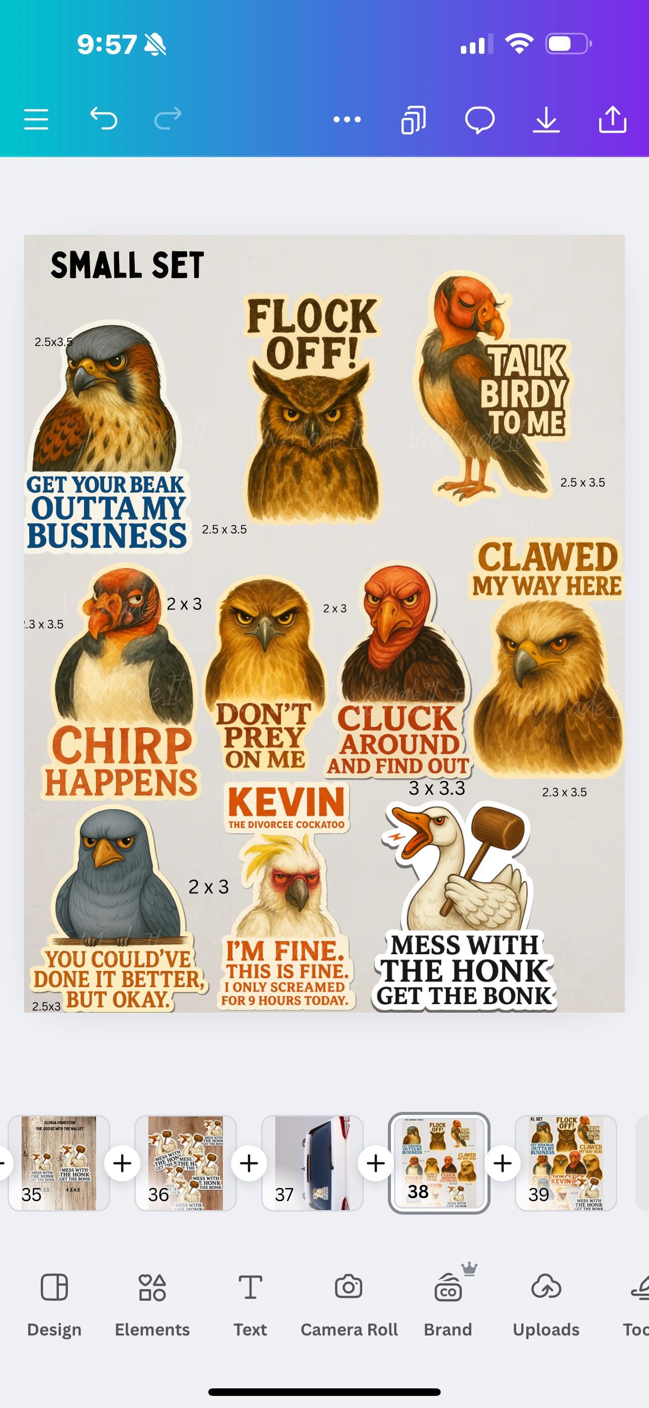 Funny Angry Bird Sticker Set: Snarky Raptors, Owls & Goose