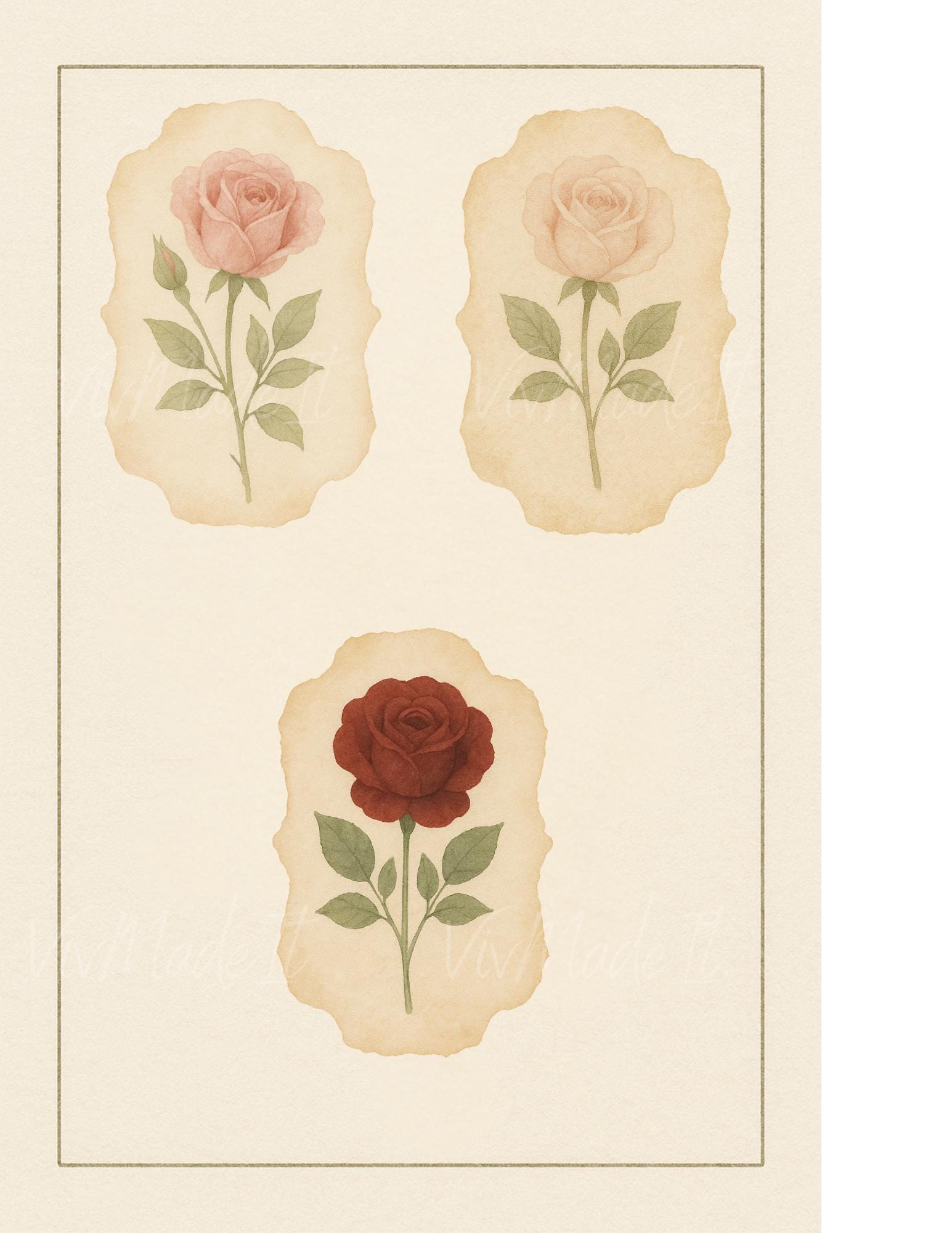 Watercolor Rose Stickers: Romantic Parchment Florals (3-Pack)