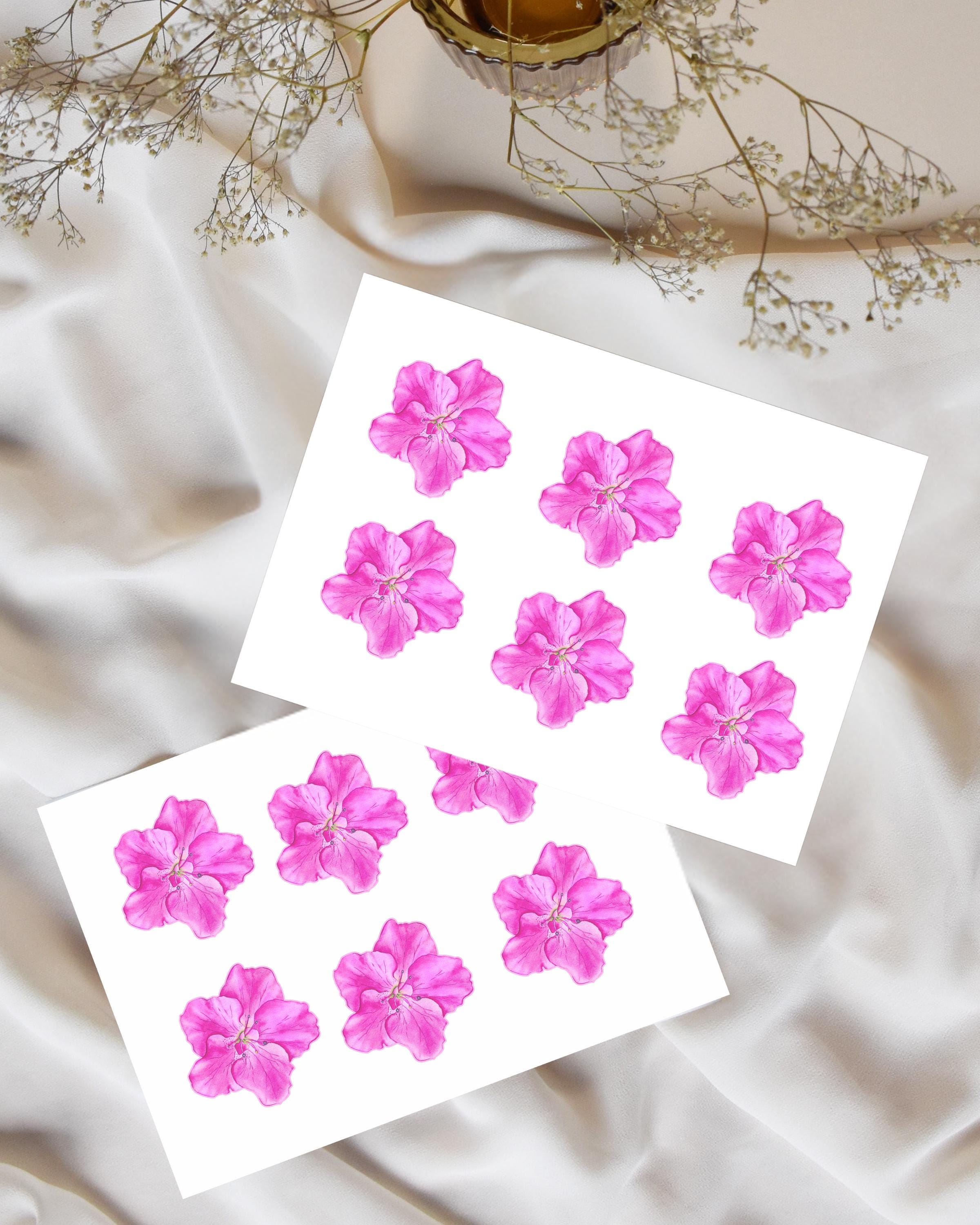 2” Pink Watercolor Flower Stickers – Floral Decals in Matte, Glossy, or Holographic