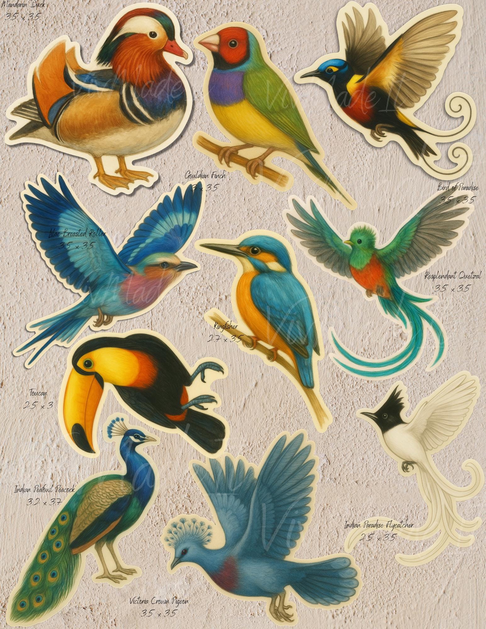 Exotic Bird Stickers: Watercolor Vinyl Decals - Birdwatcher Gift