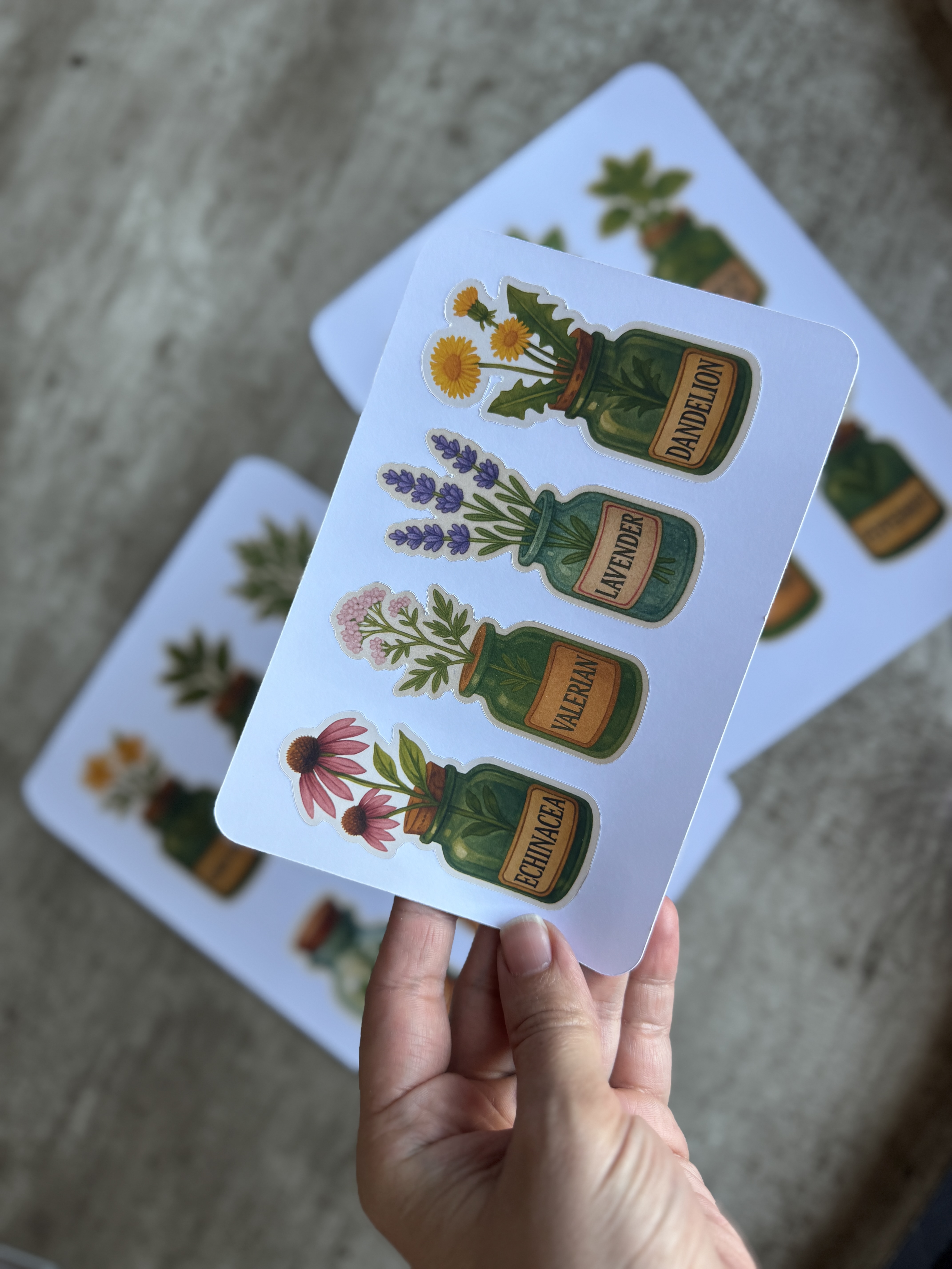 Vintage Apothecary Herb Stickers: Watercolor Botanical Set (16 Piece)