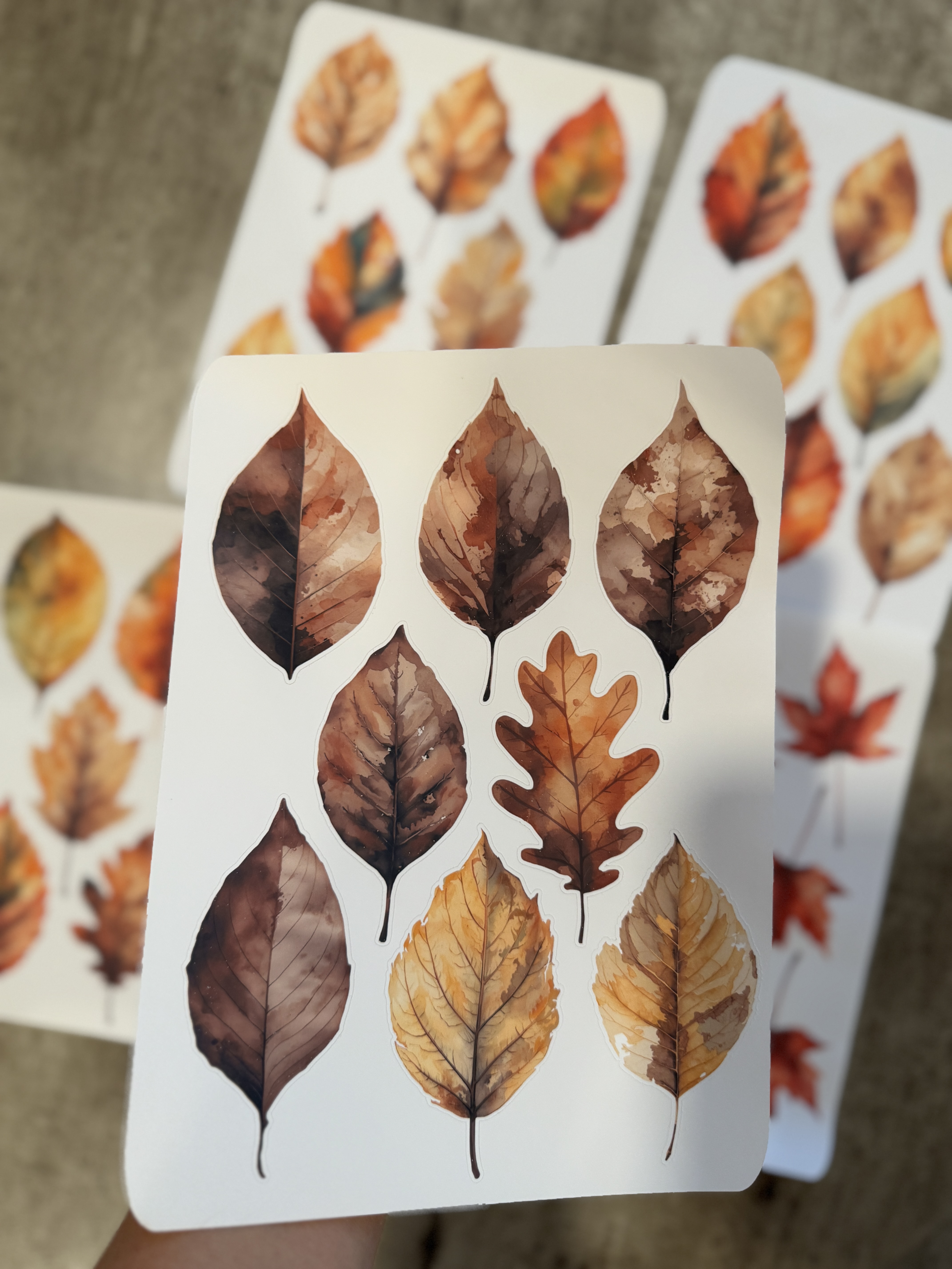 Autumn Leaves Wall Decals 