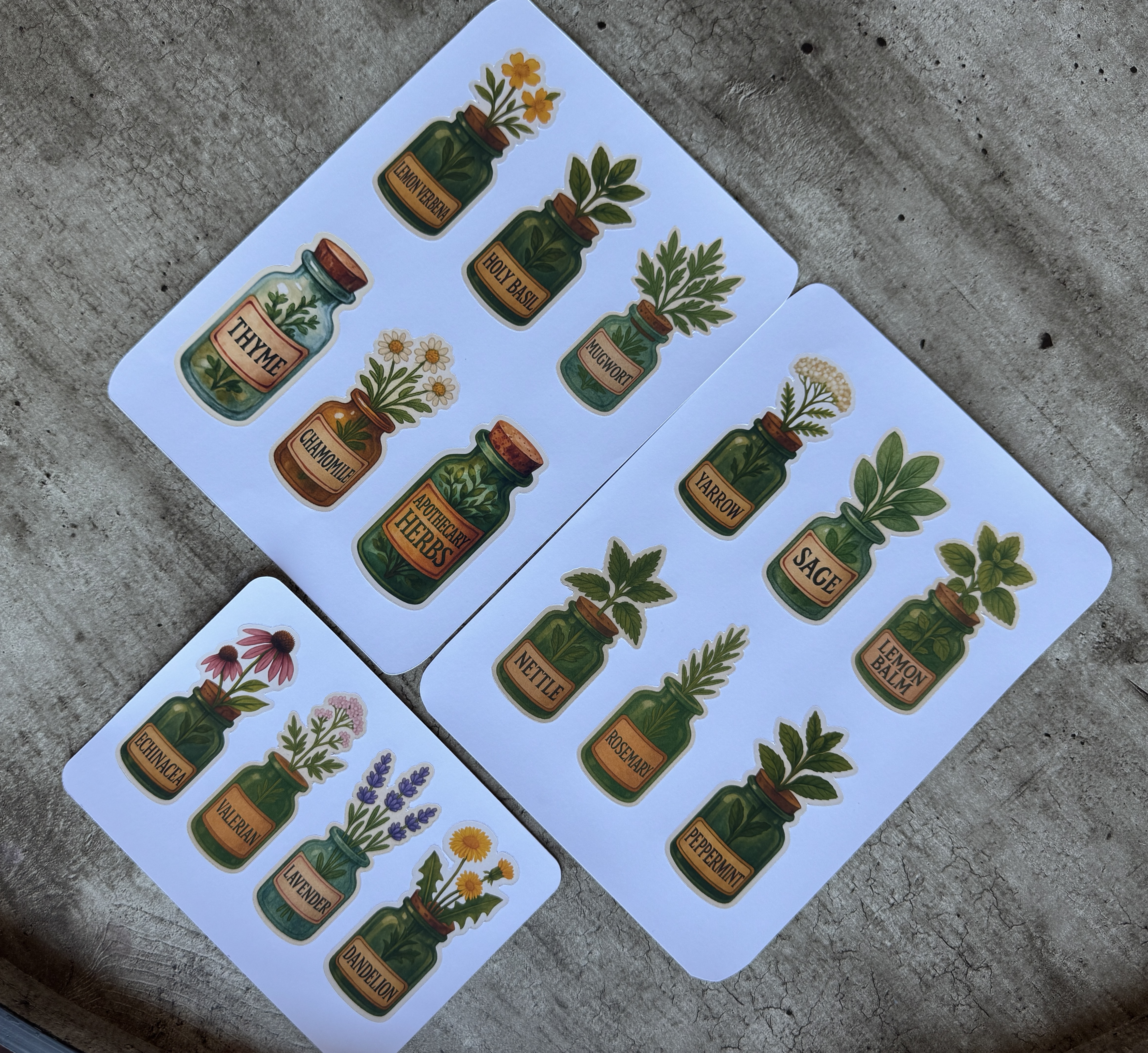 Vintage Apothecary Herb Stickers: Watercolor Botanical Set (16 Piece)