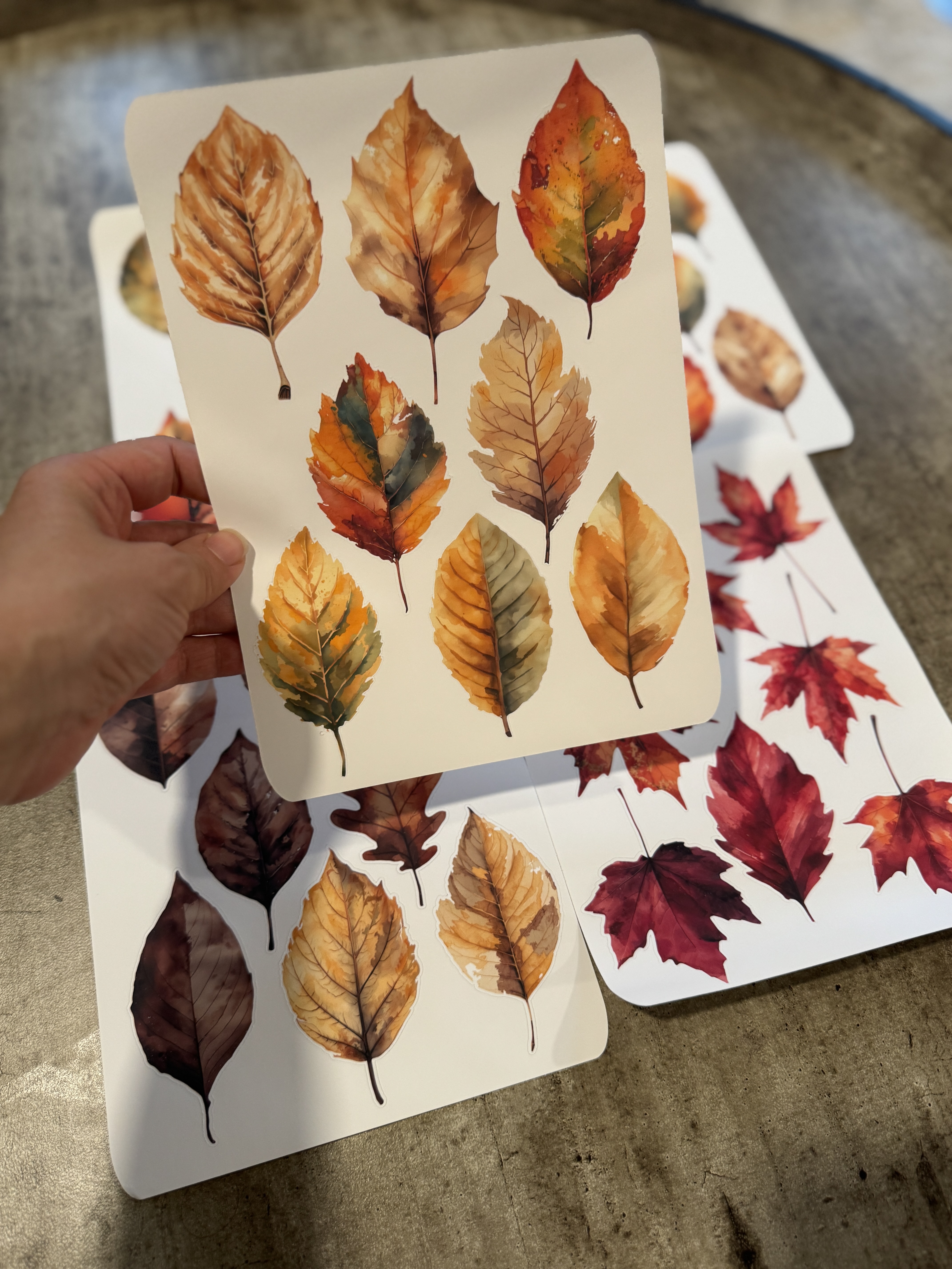 Autumn Leaves Wall Decals 