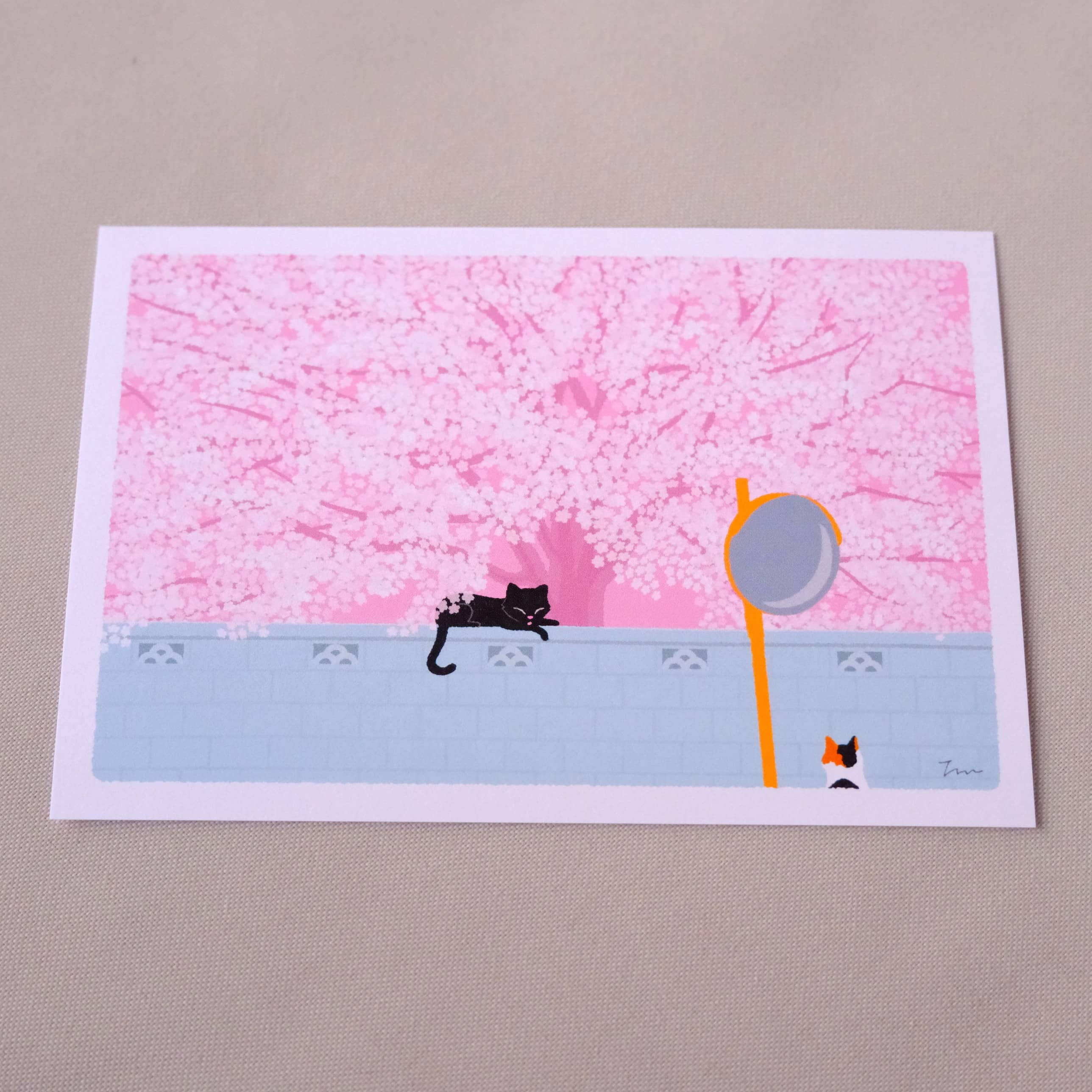 Postal Gato y Sakura