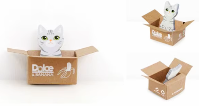 Separadores Adhesivos Gatitos en Cajas