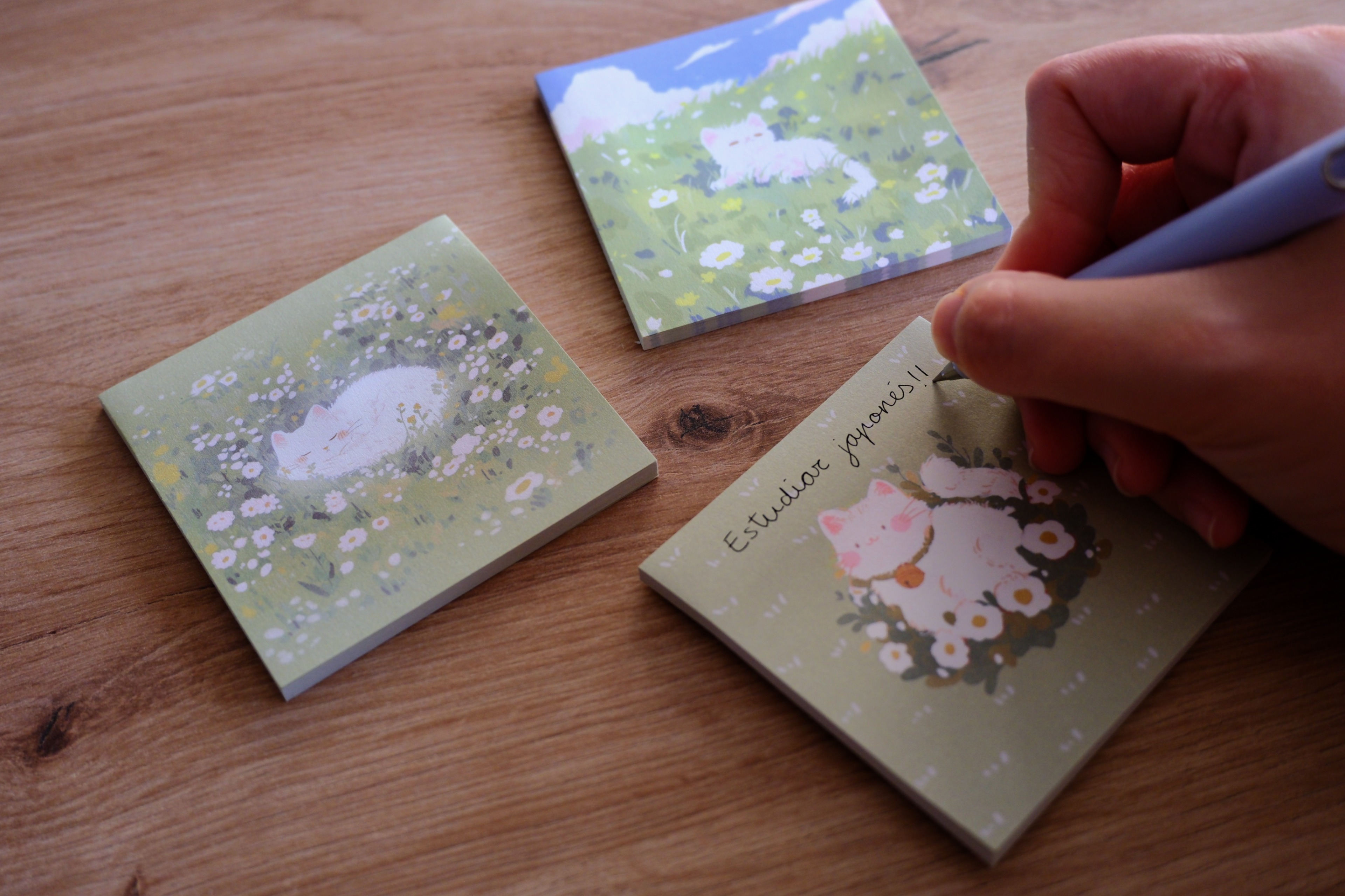 Set de Post-its Gatos