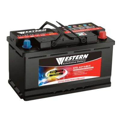 Western Automotive Battery EFB Advance