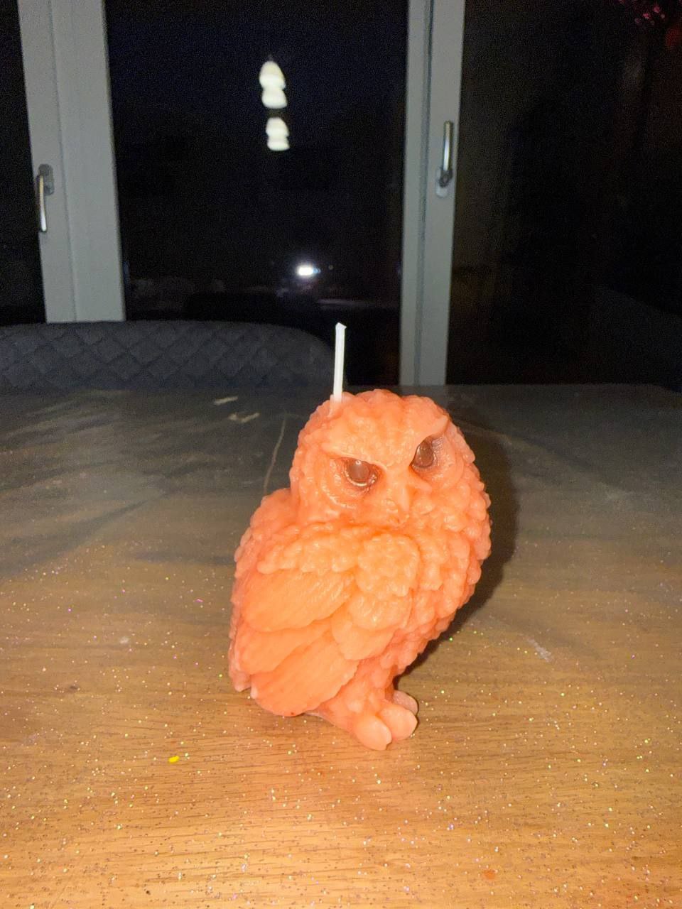 Gufo Grande Arancione