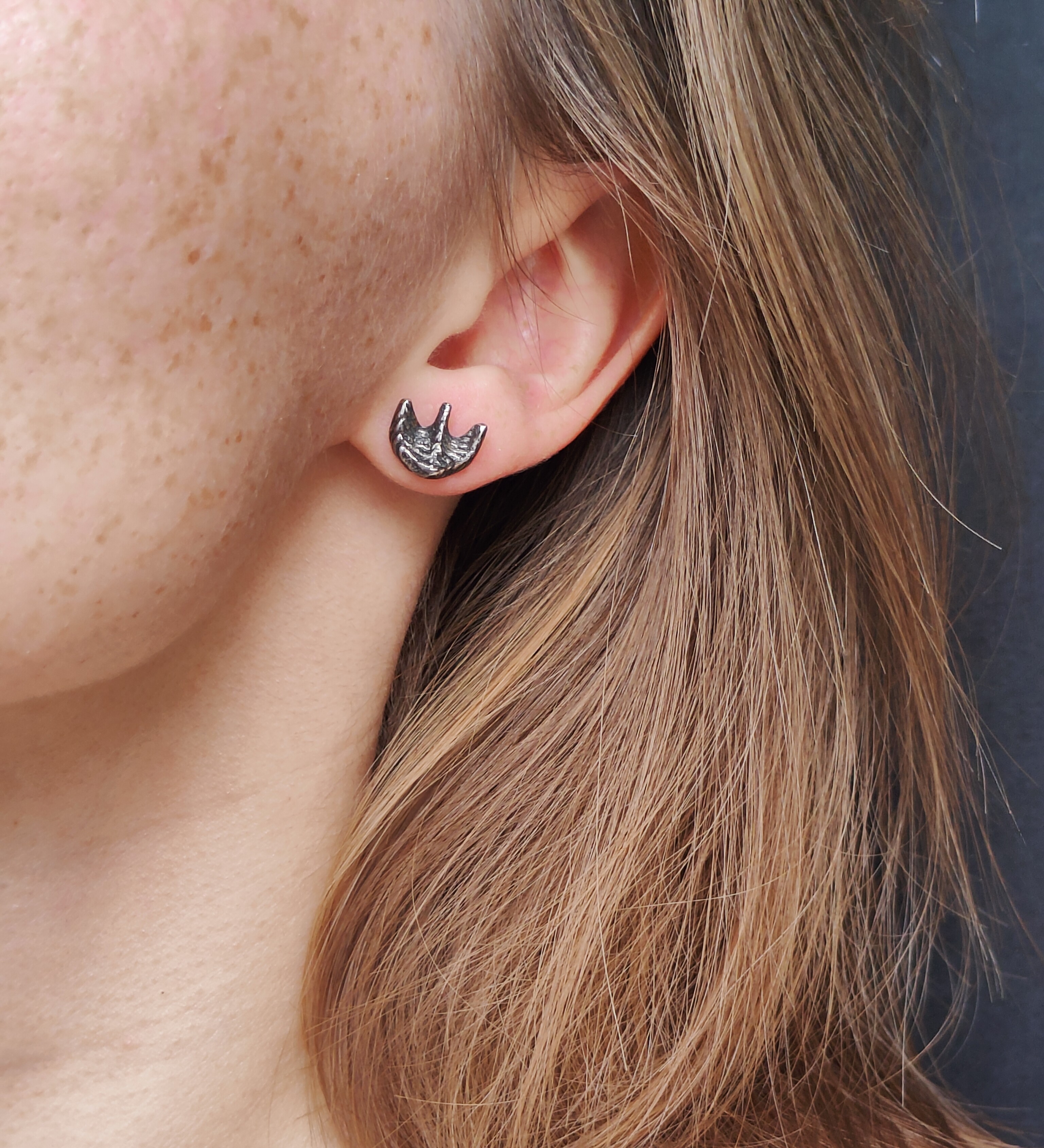 Sidabriniai auskarai