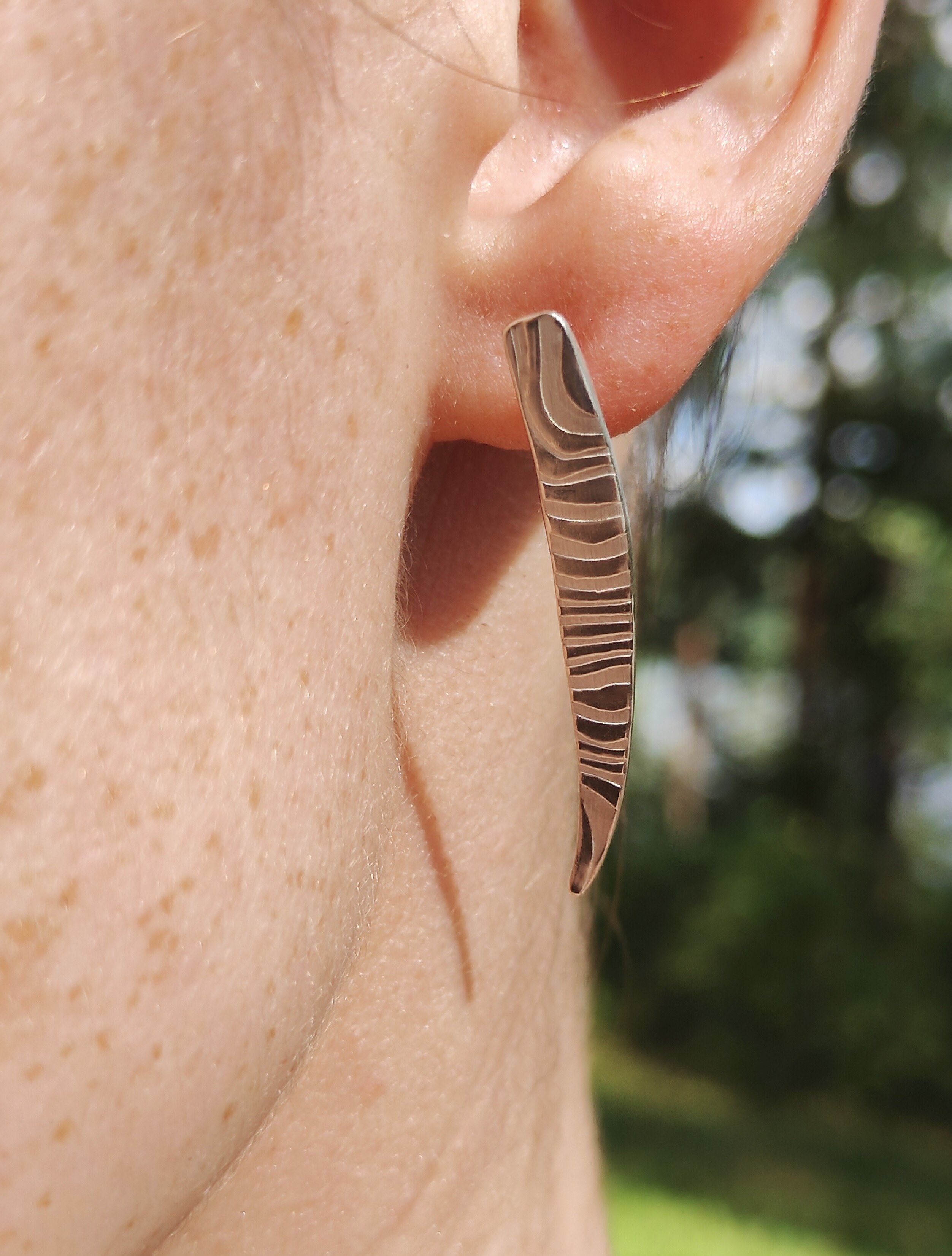 Sidabriniai auskarai