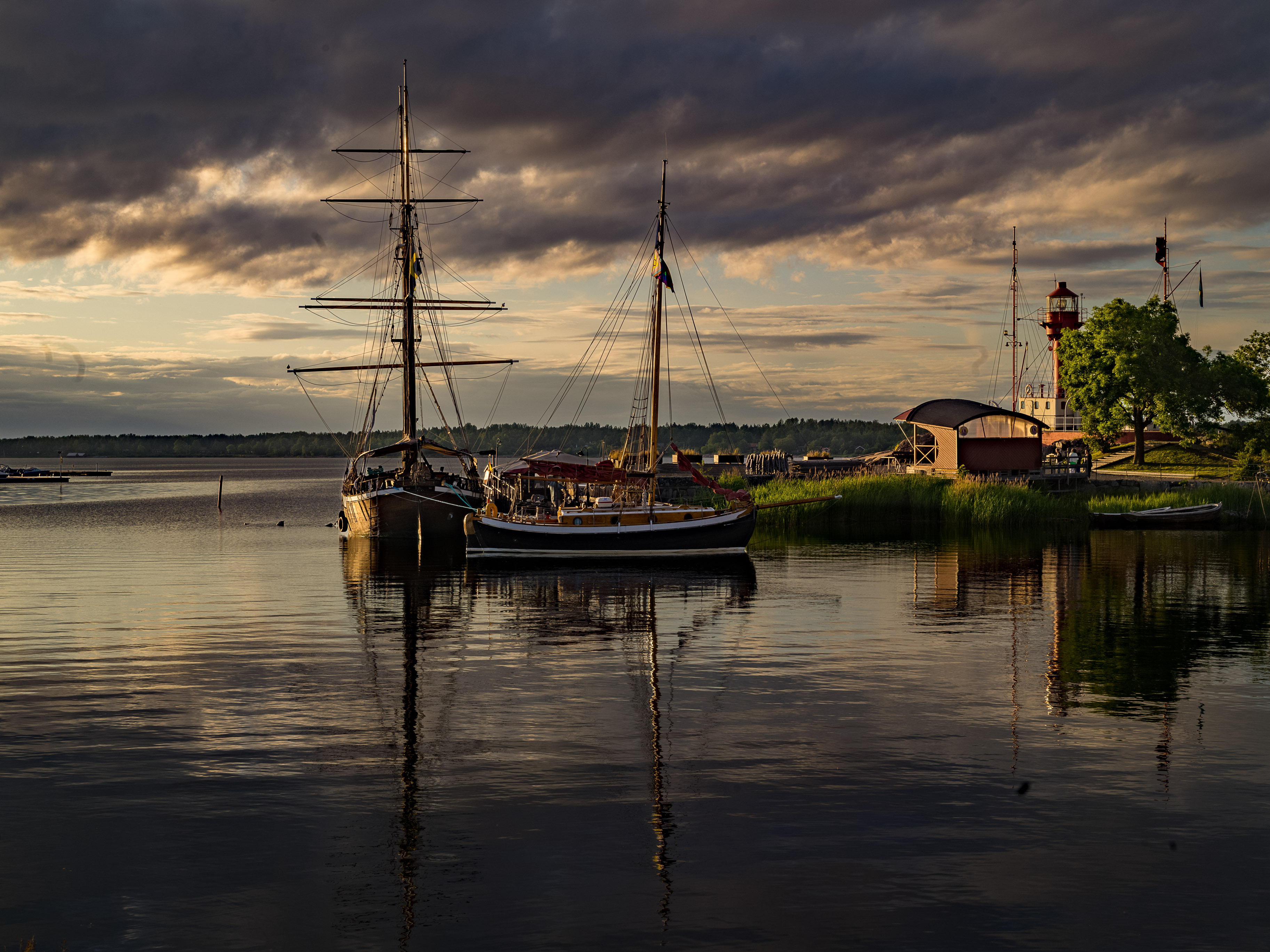 D_B012 Wetsera — Sails Through Time