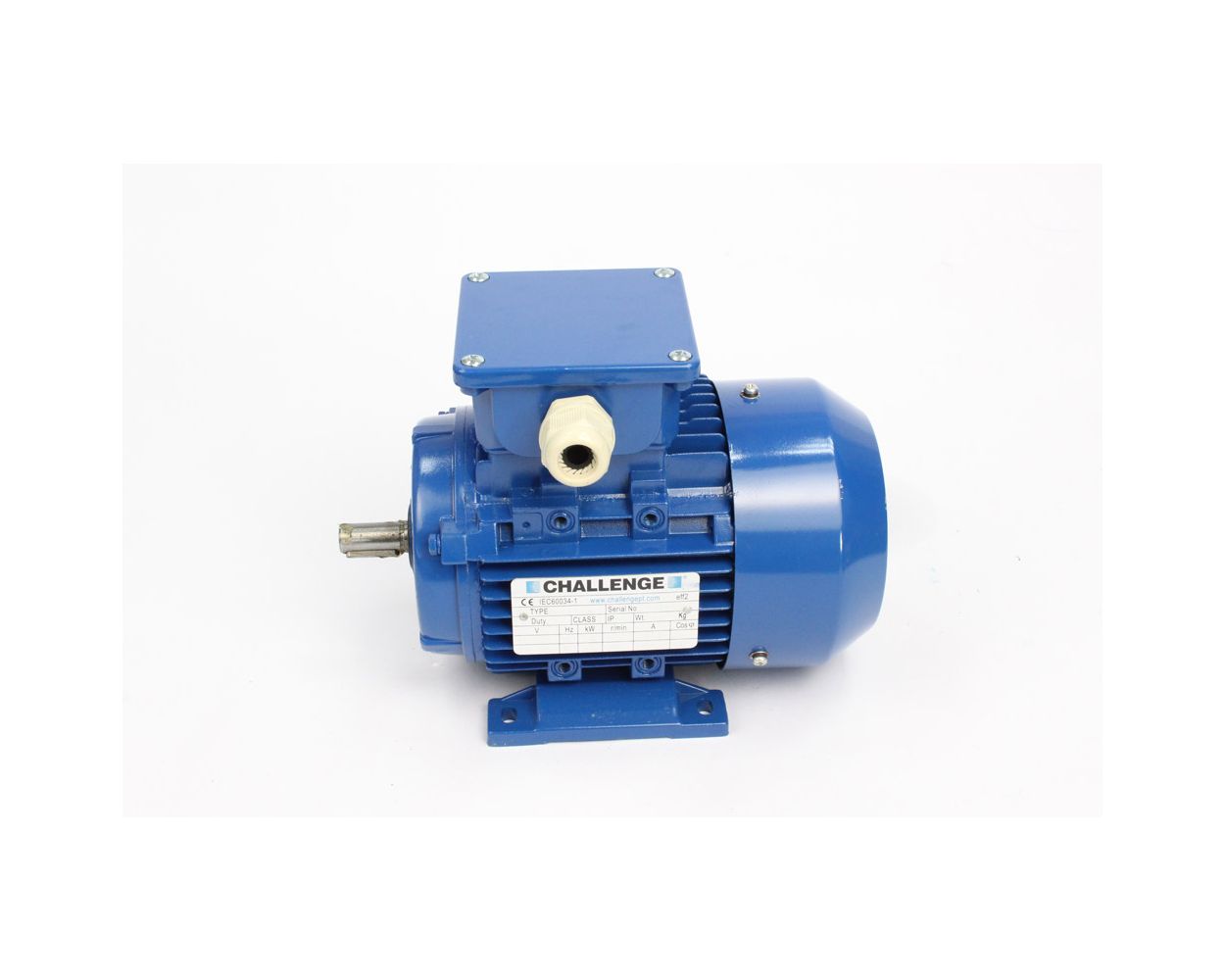 Electric Motor
