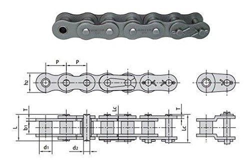 Roller Chain