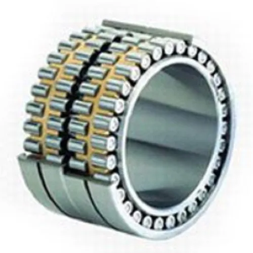 Double Row Cylindrical Roller Bearing