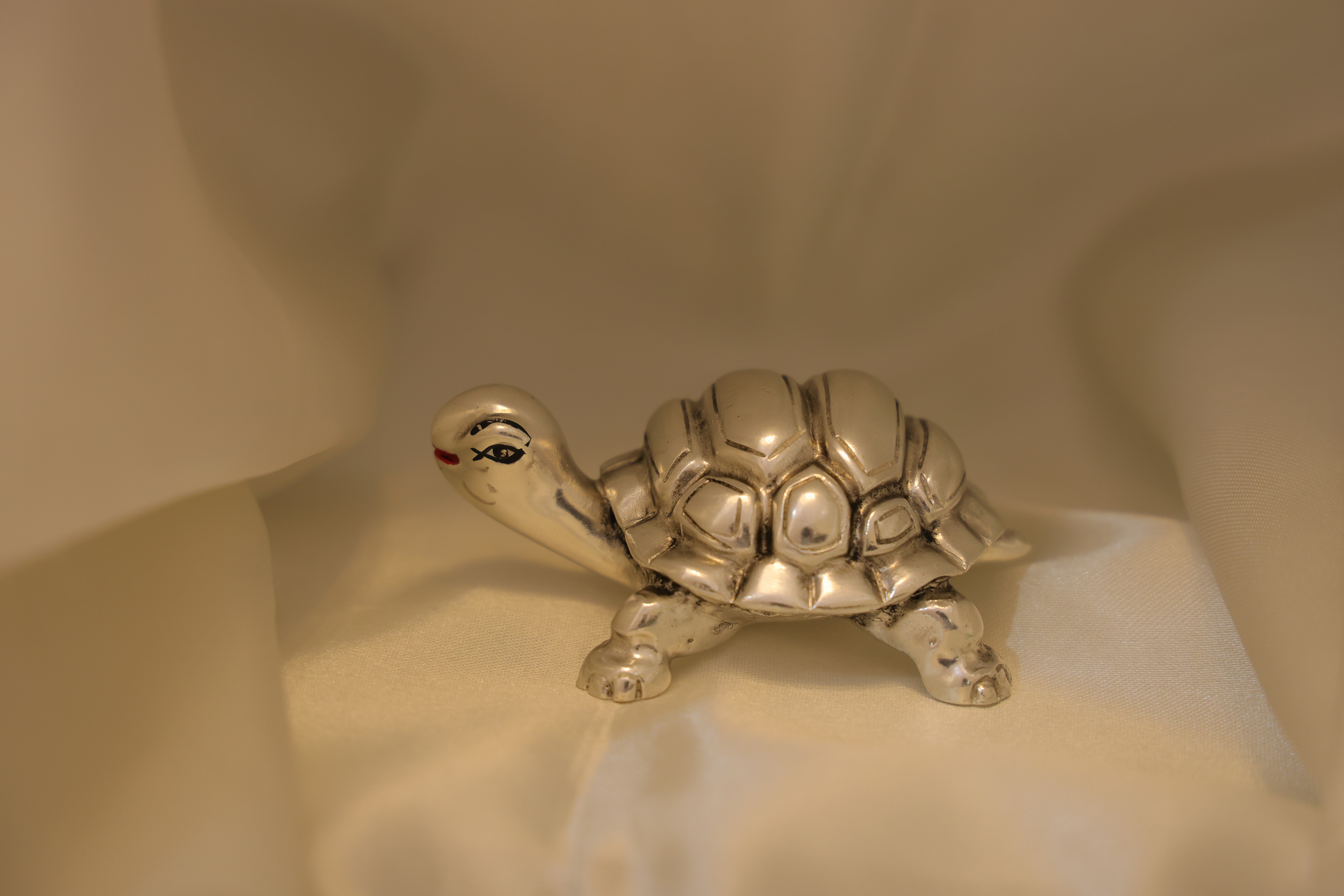 Rajat Kachhua – Silver Divine Tortoise