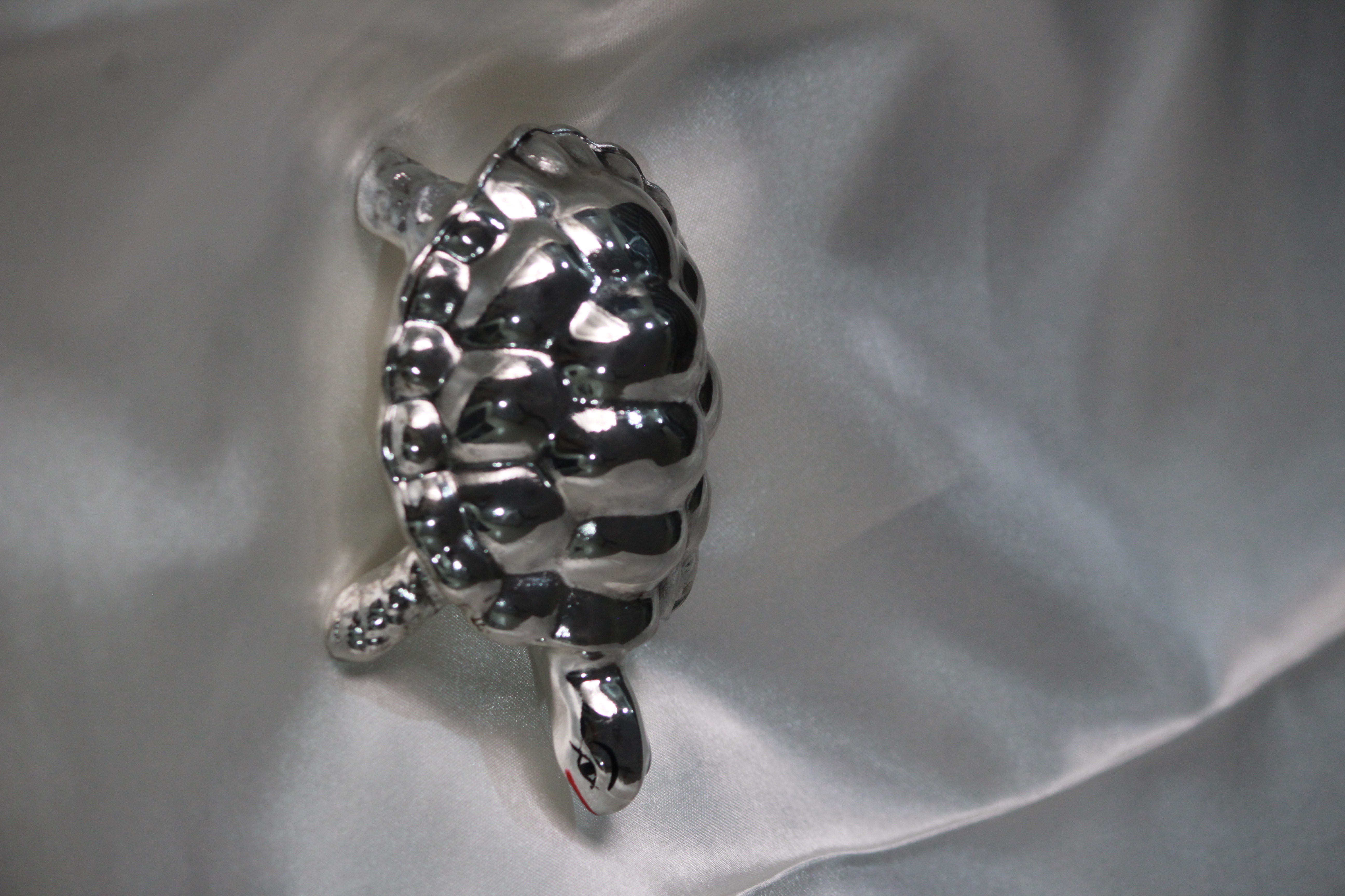Rajat Kachhua – Silver Divine Tortoise