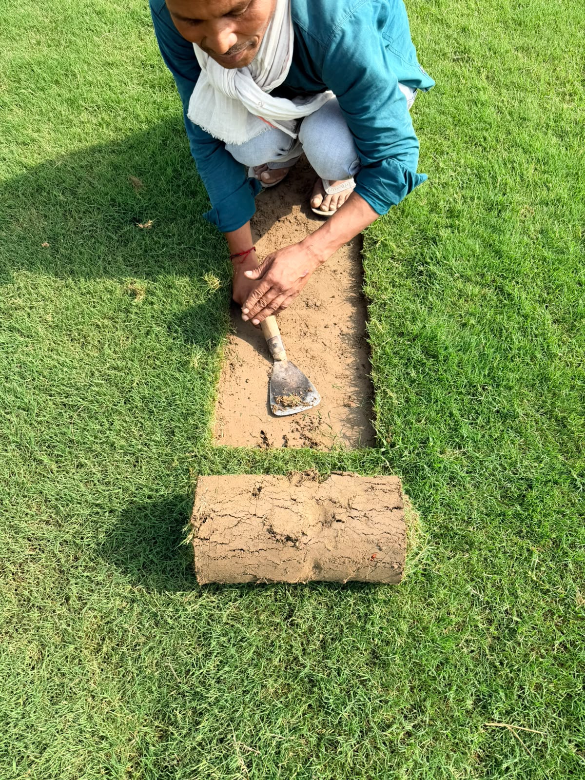 Natural Lawn Grass in Lucknow Cantonment | Wholesale Natural Lawn Grass | Lawn Grass Carpet | Natural Lawn Grass | Natural Lawn Grass Supplier | Natural Grass in Bulk | Natural Lawn Grass Wholesale Price | Buy Natural Lawn Grass in Lucknow Cantonment