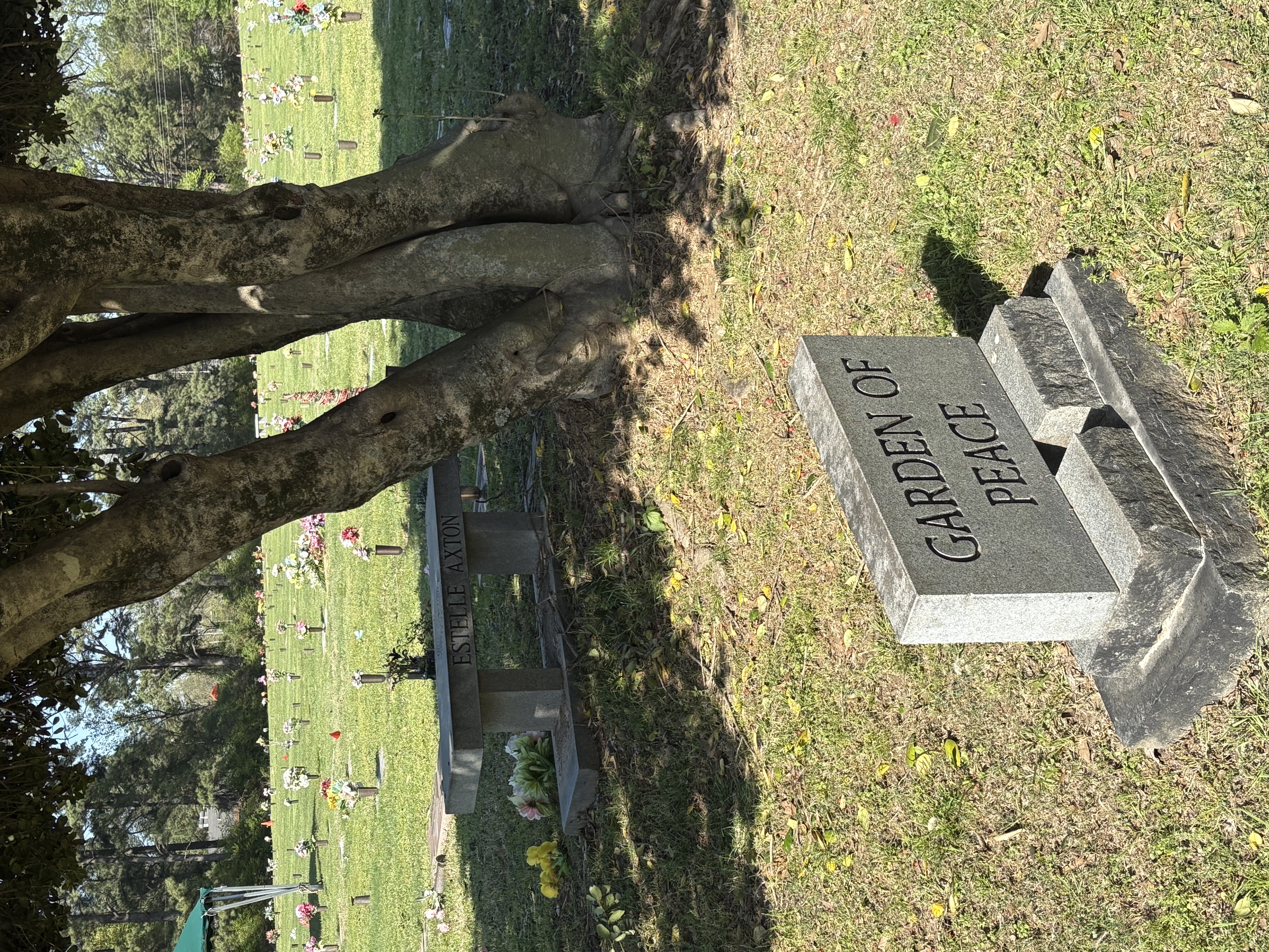 Forest Hill East - Garden of Peace