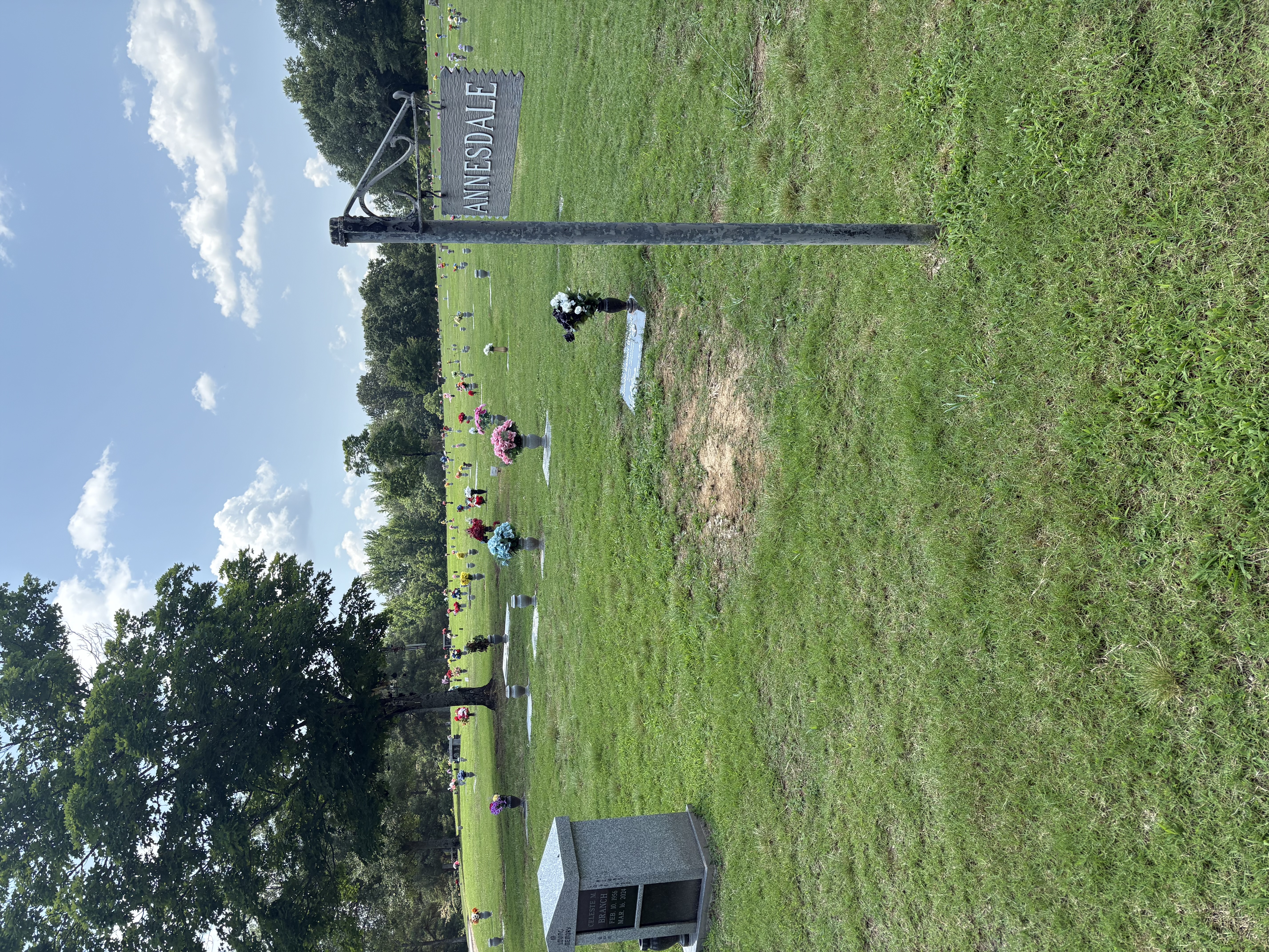 Southwoods - Annesdale