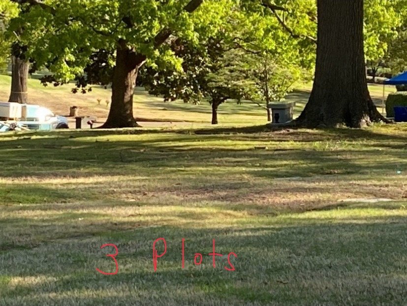 Memorial Park-Section J-G