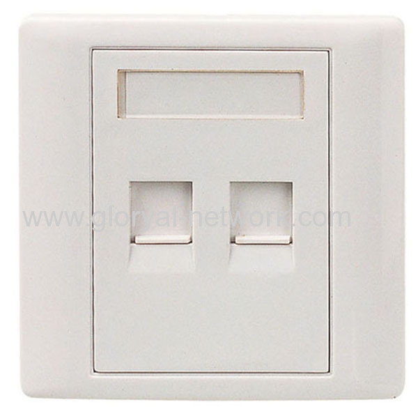 Dual Network Wall Faceplate