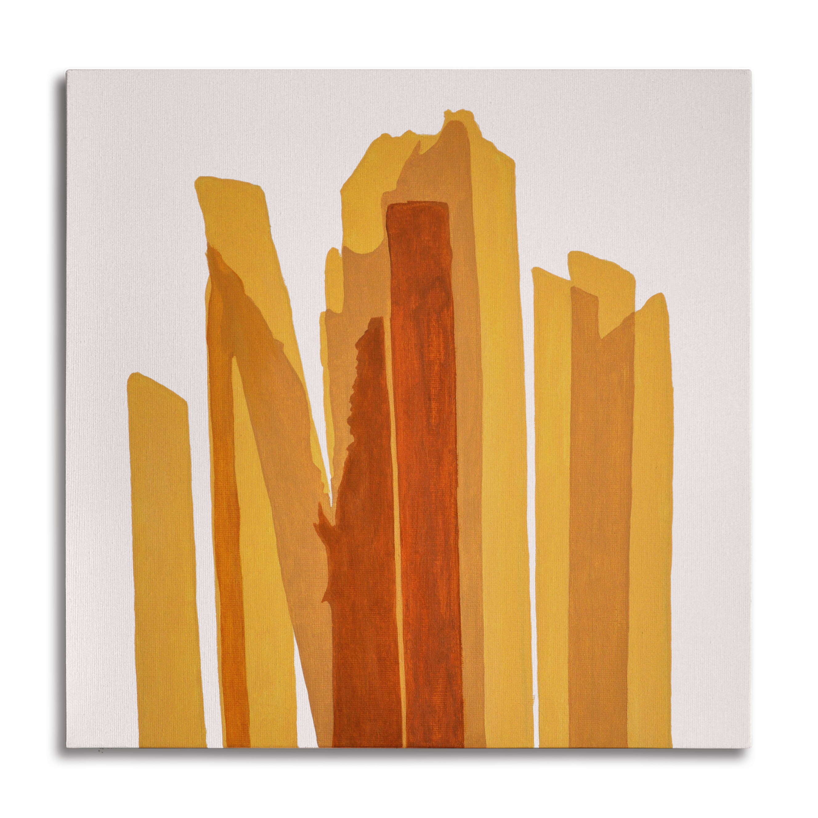 LE FETTUCCINE