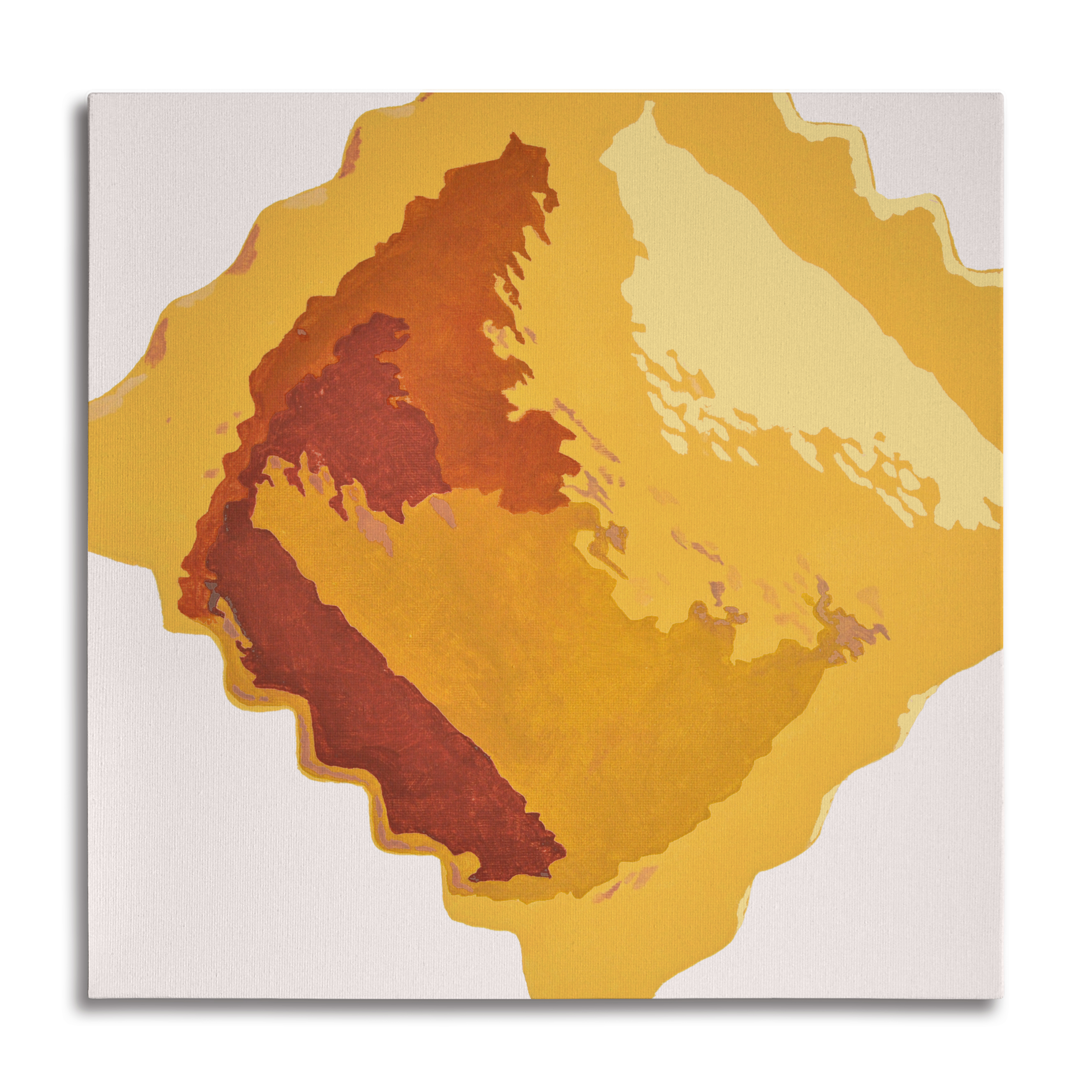 IL RAVIOLO