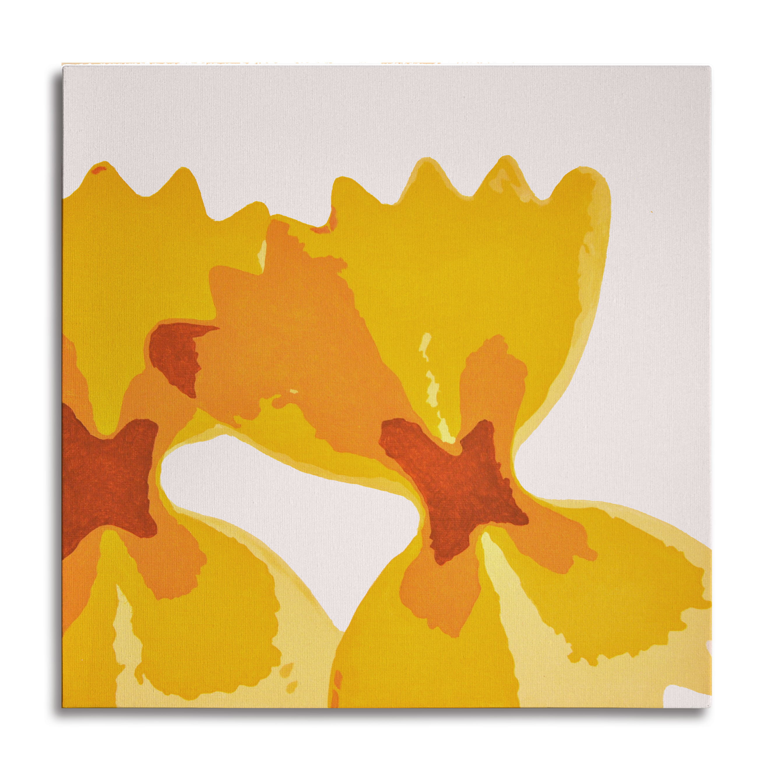 LE FARFALLE