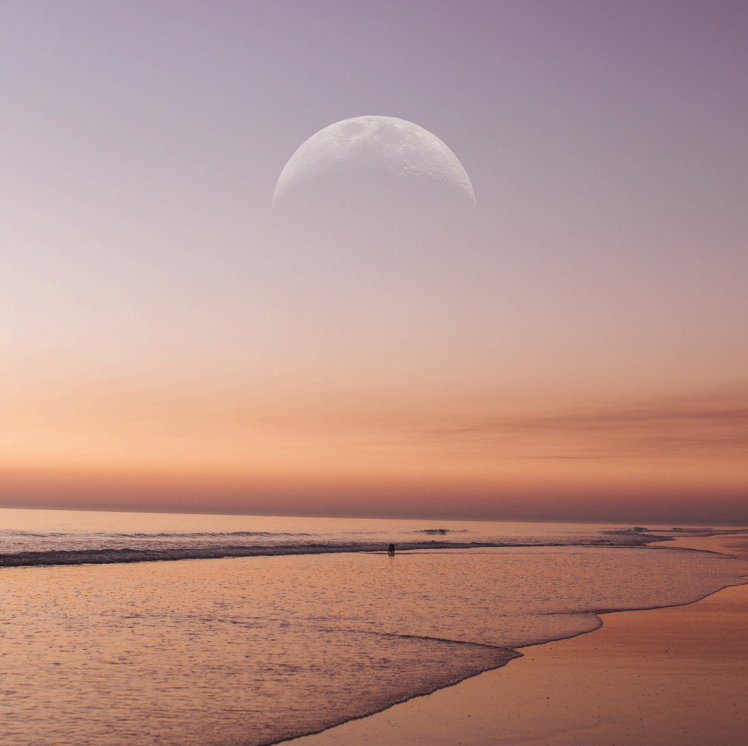 Programa Lunar