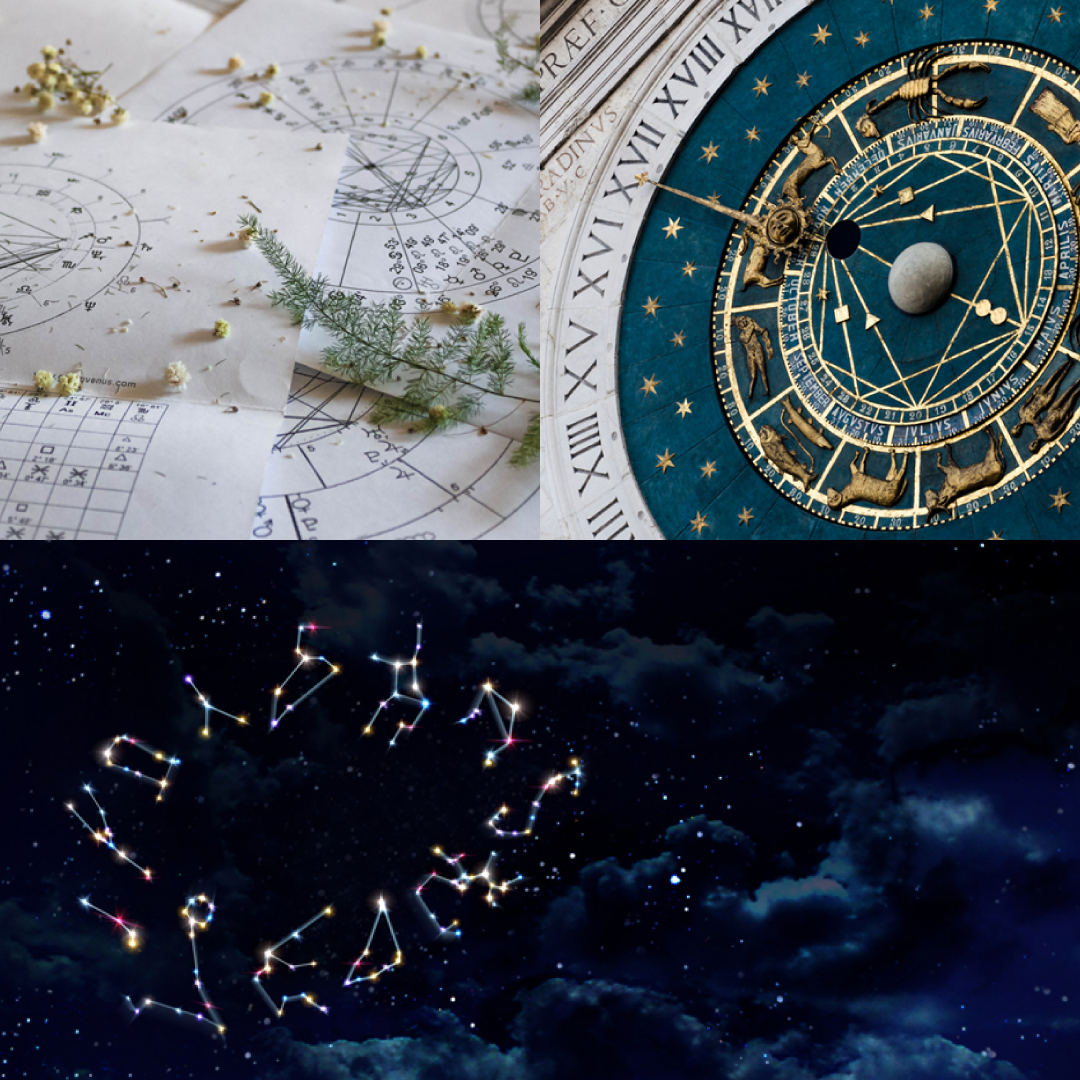 Carta Natal + Momento Actual + Disposición interna