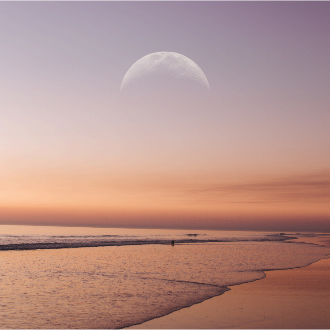 Programa Lunar