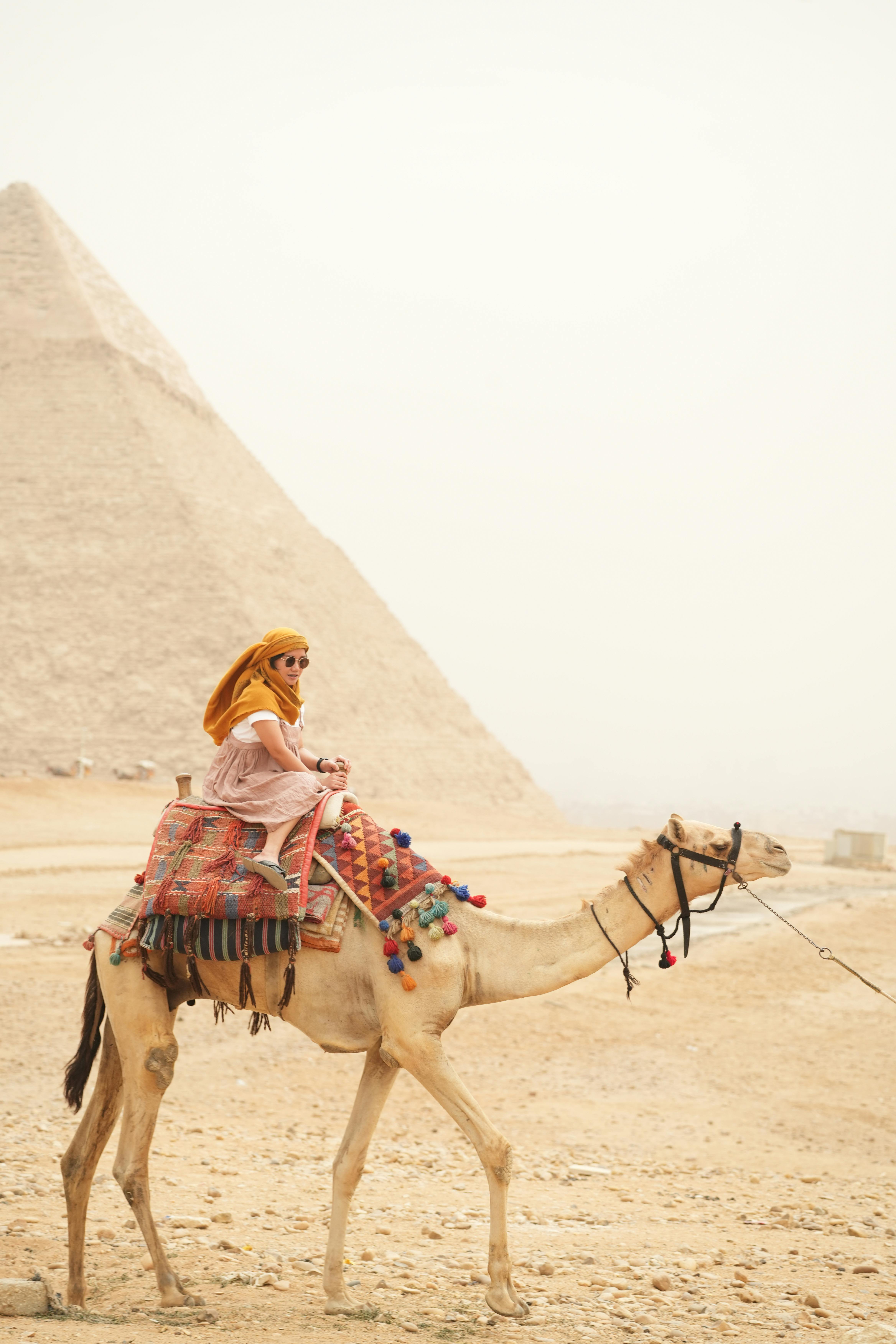 Pyramids of Giza and Sphinx Guided Tour