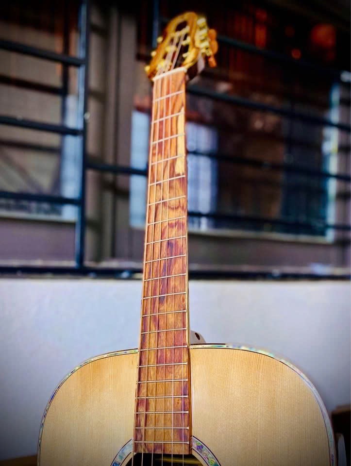 Black Ebony Guitar with Unique Grain Back & Sides