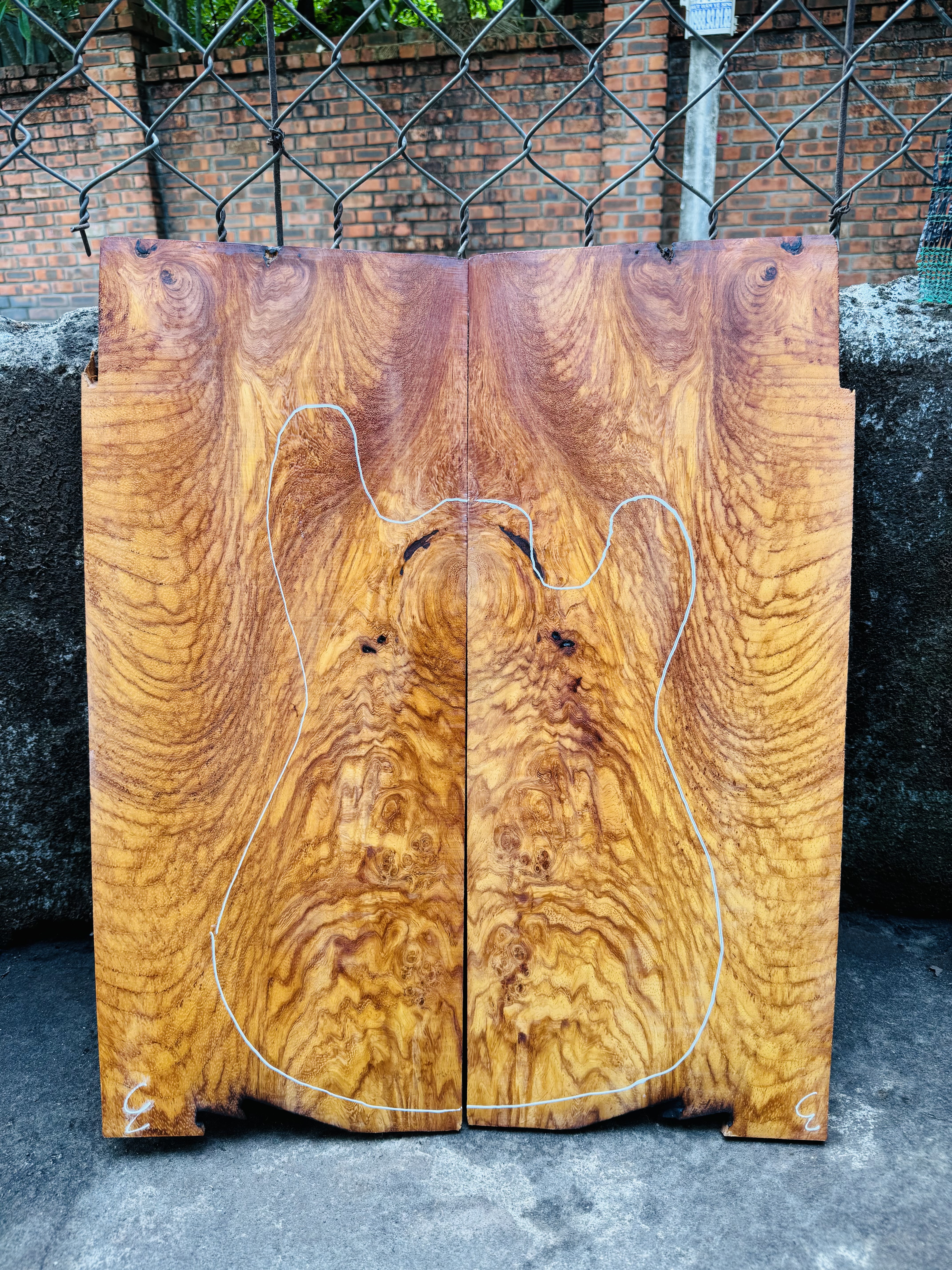 Rare Woods for One-of-a-Kind Guitars