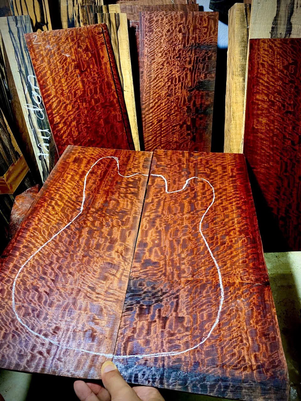 Rare Woods for One-of-a-Kind Guitars