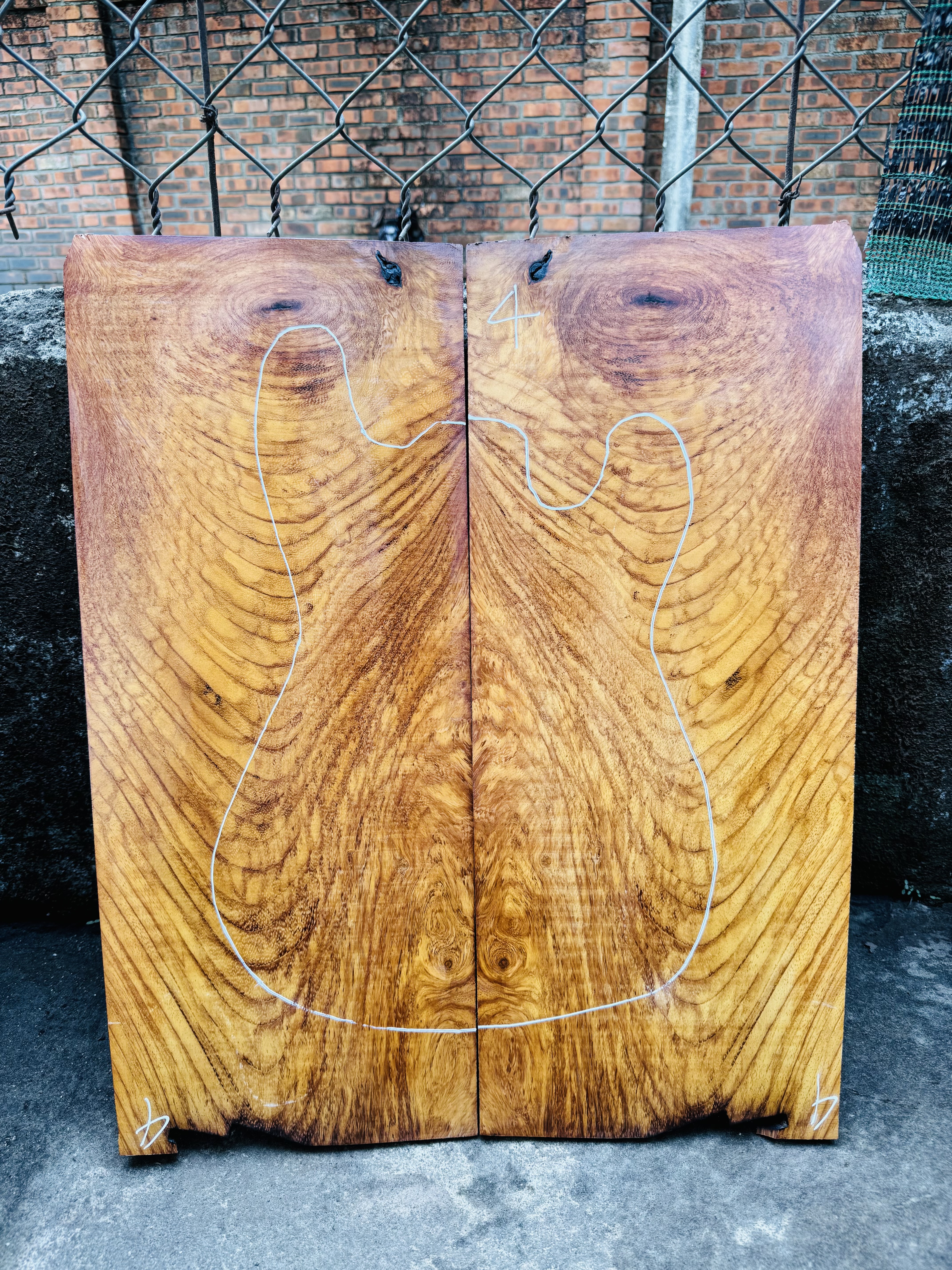 Rare Woods for One-of-a-Kind Guitars