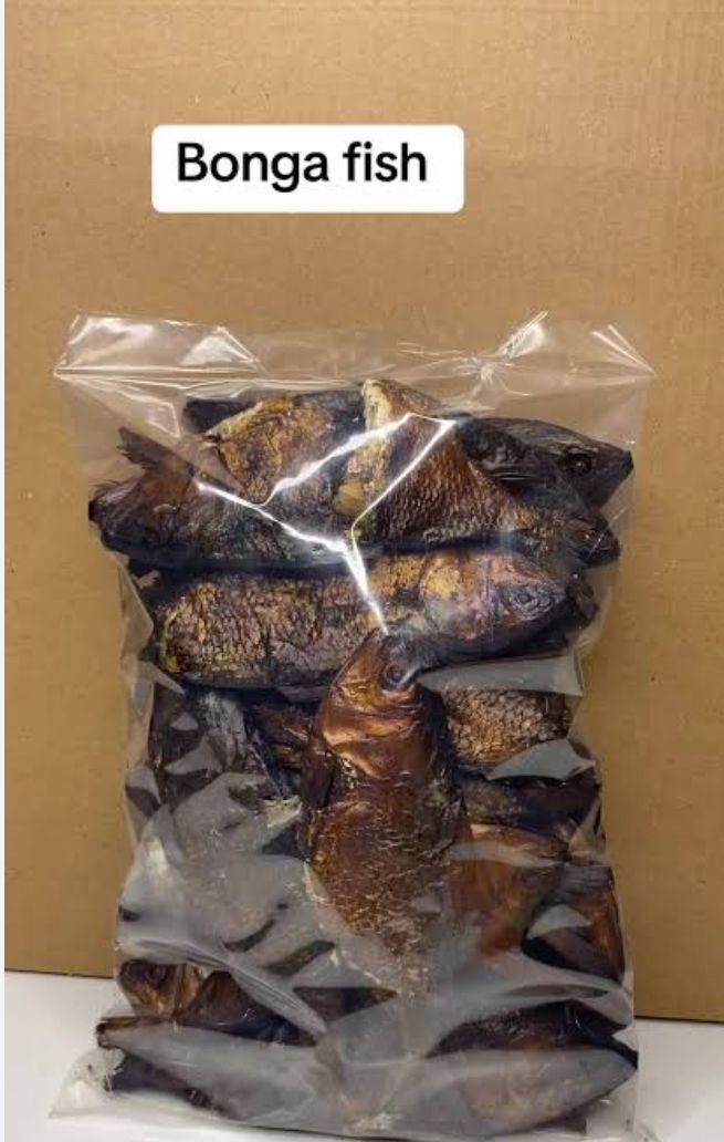Bonga Fish