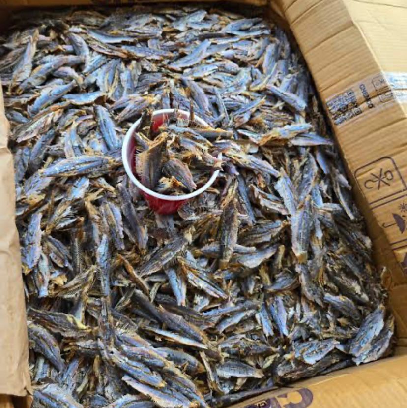 Dried Anchovies